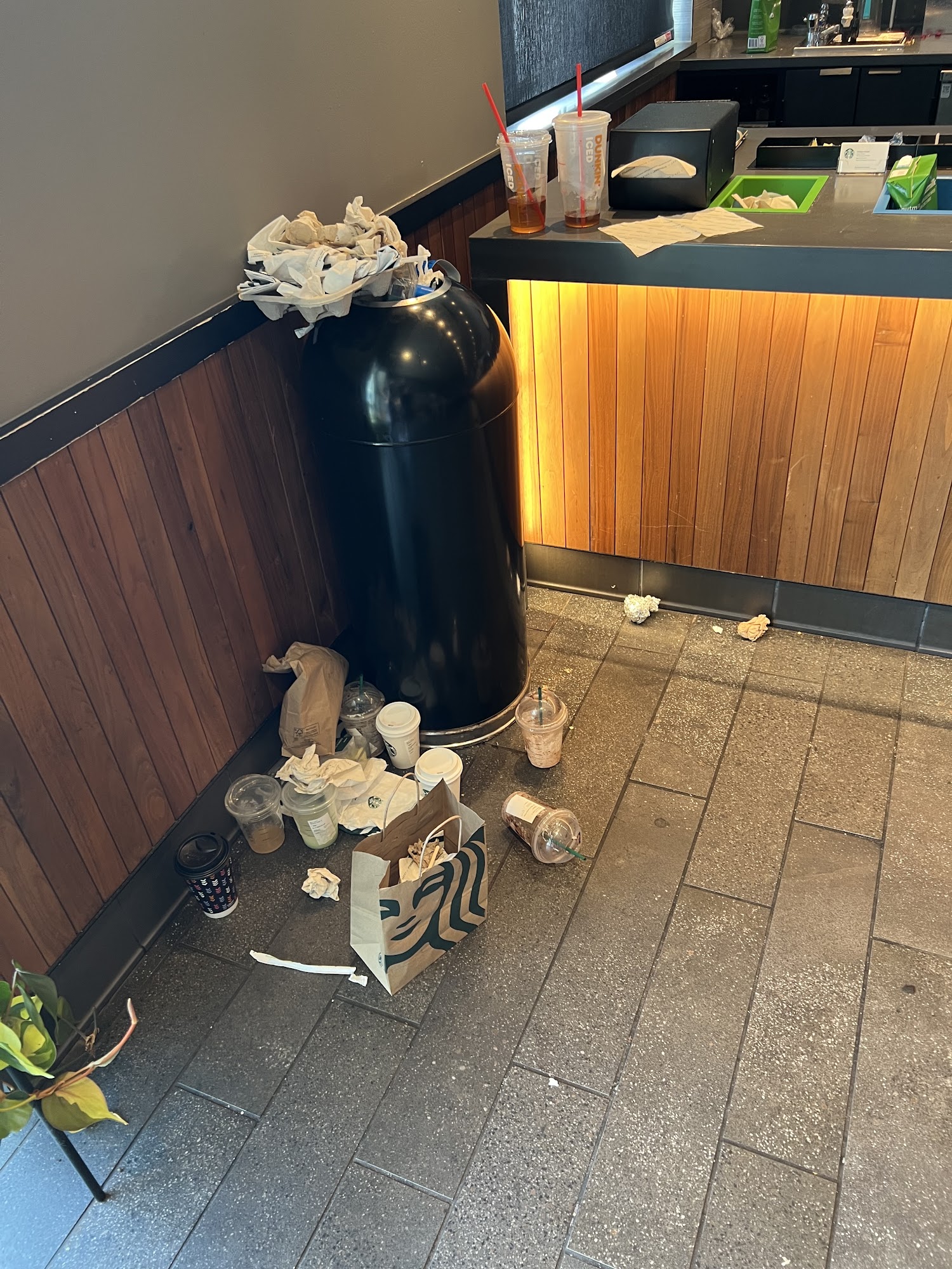 Starbucks Mount Pocono