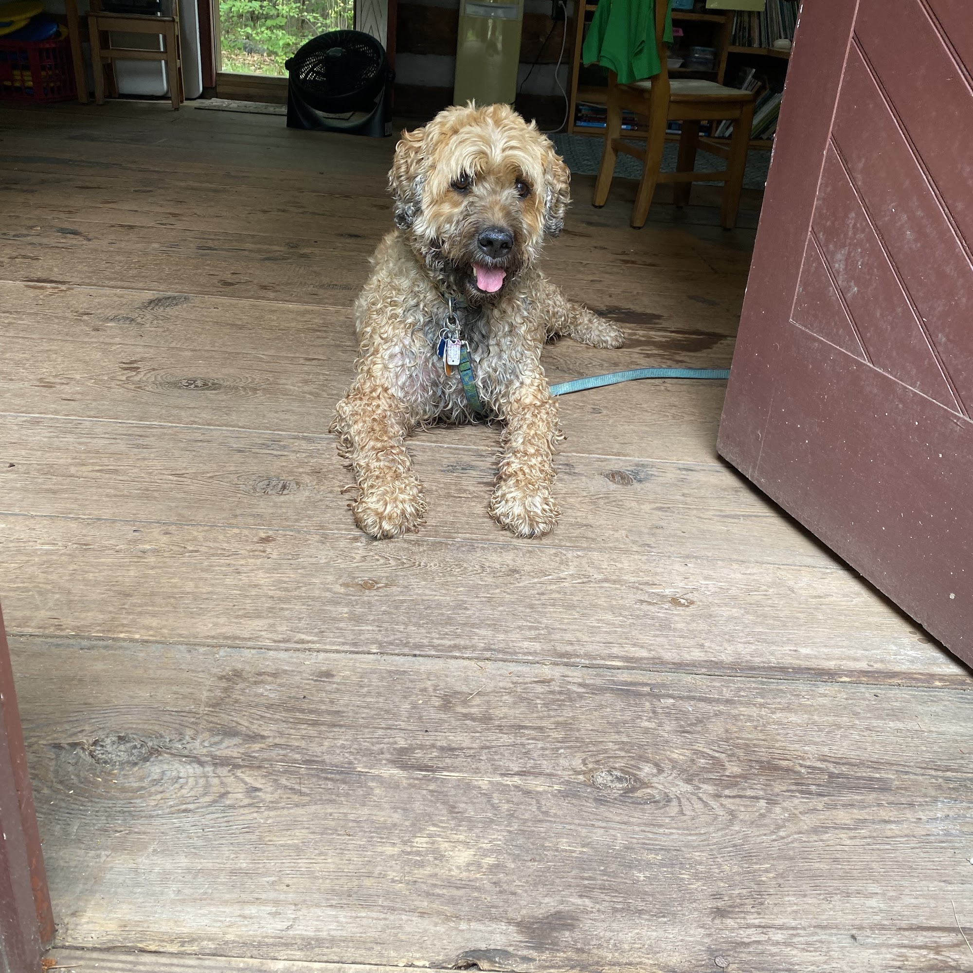 Muncy Veterinary Center Muncy