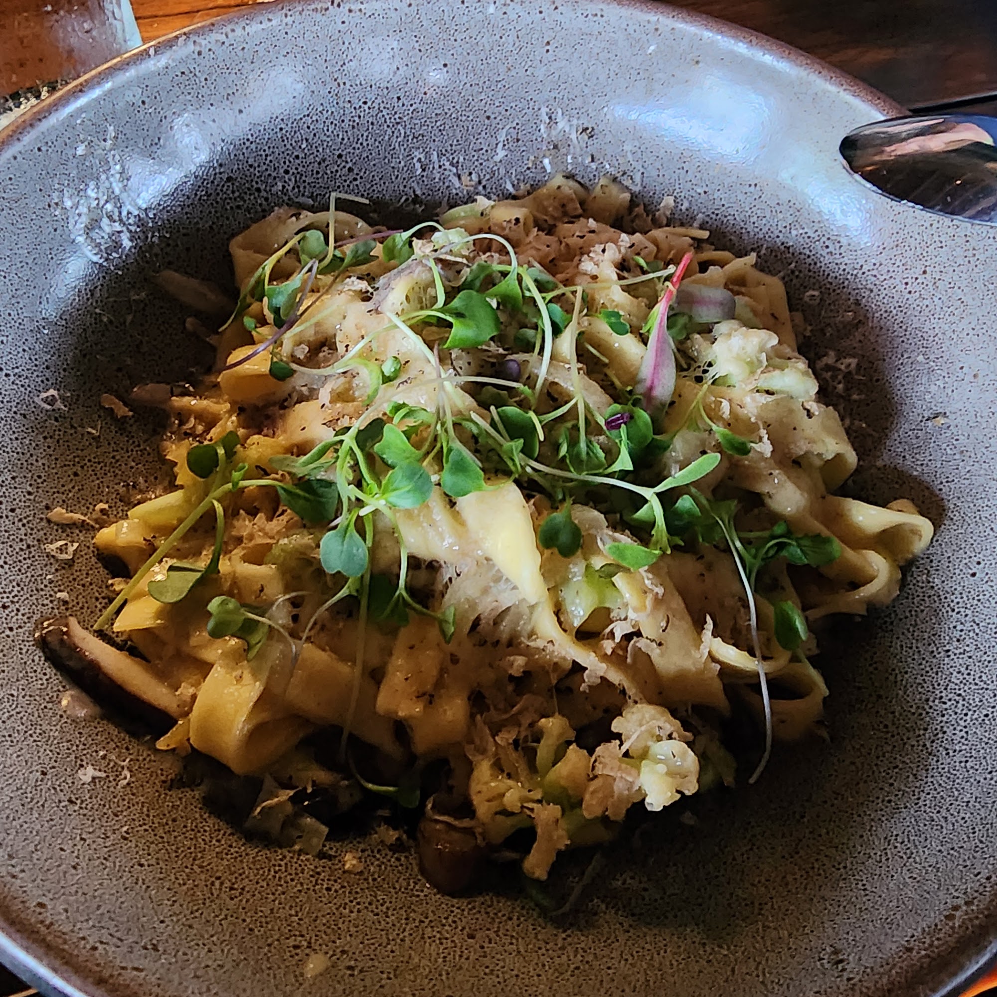 Stella of New Hope New Hope