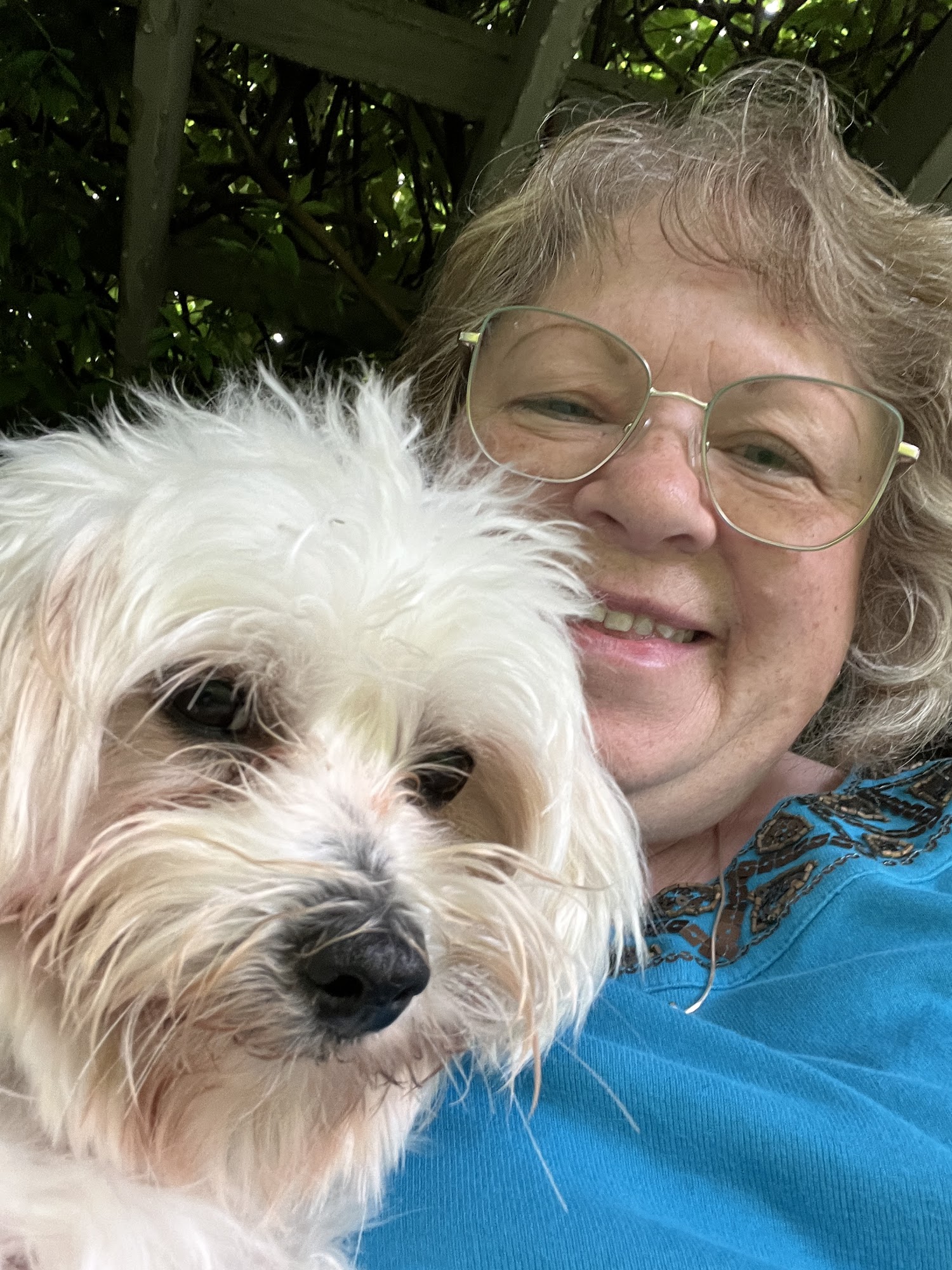 Pet Adoption League New Stanton