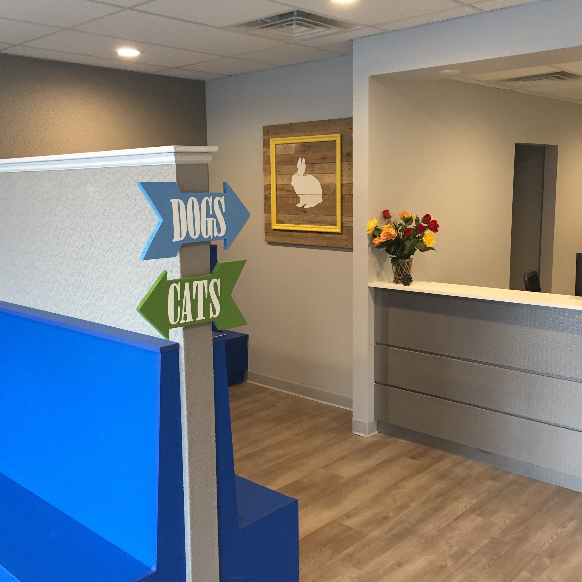 Newtown Square Veterinary Hospital Newtown Square