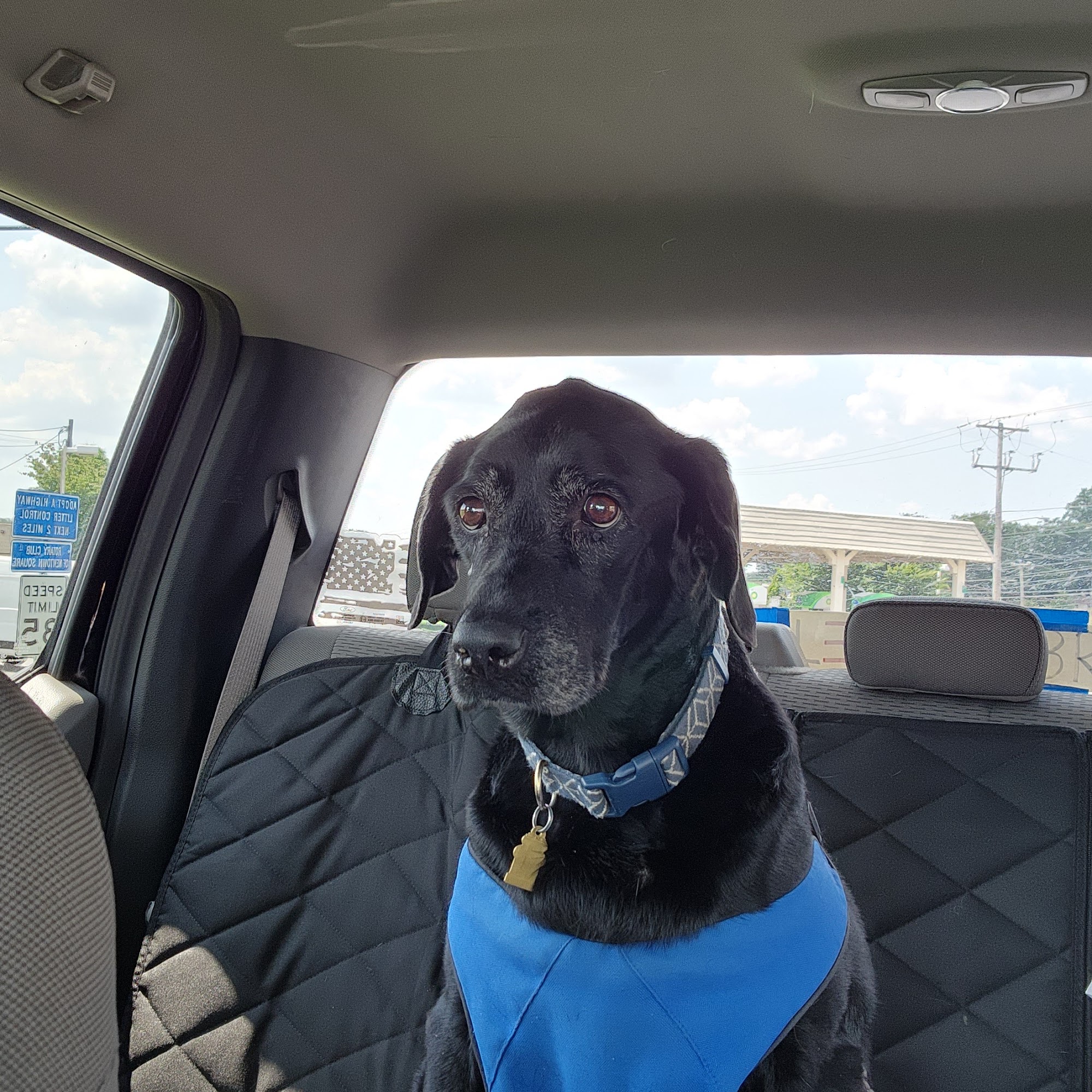 Colonial Animal Hospital Newtown Square