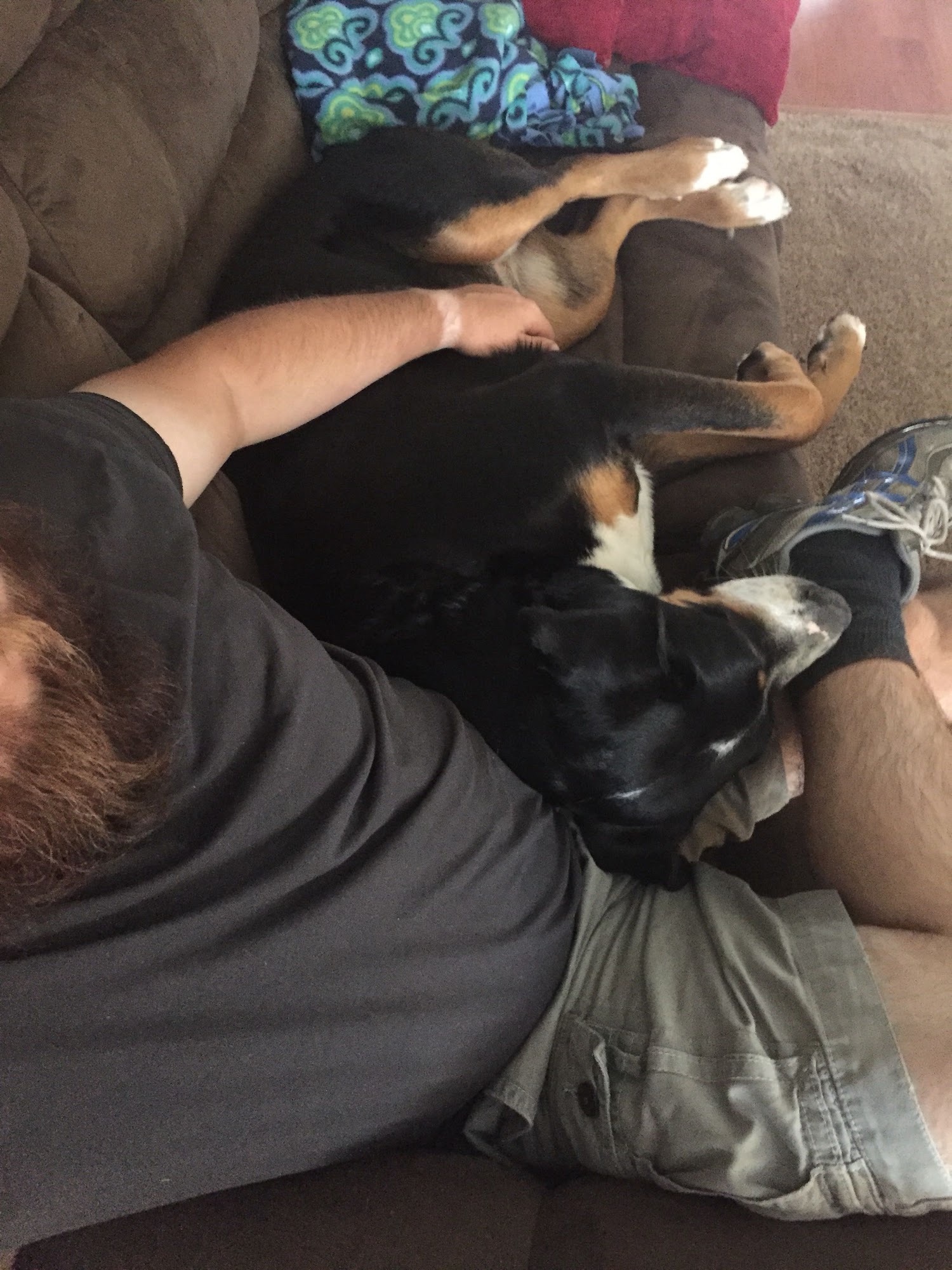 Off Leash K9 Training Harrisburg Newville