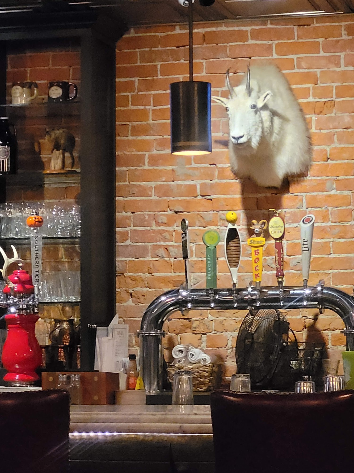 The Skunk and Goat Tavern North East