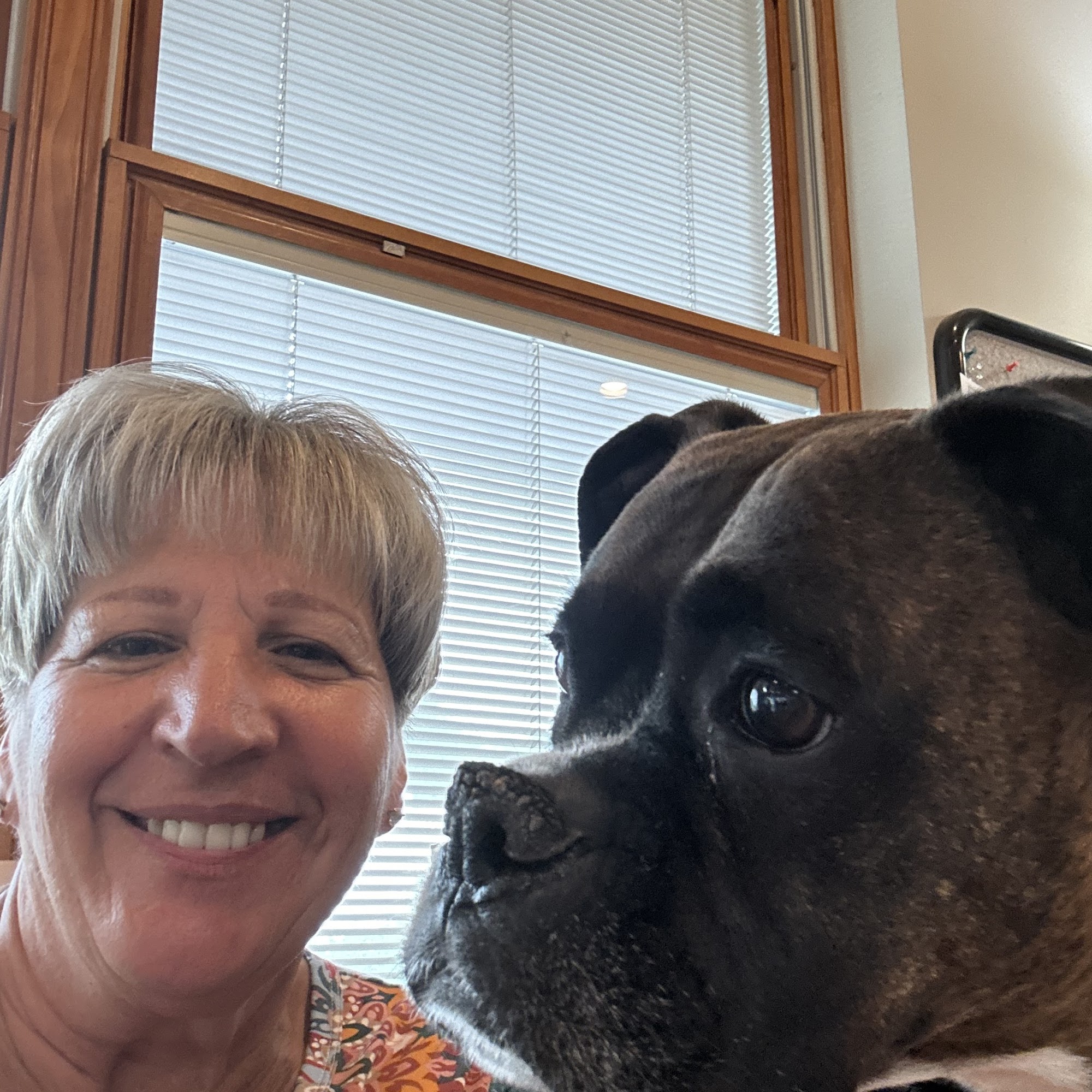 Rhonda's Dog Walking and Pet Sitting Northampton