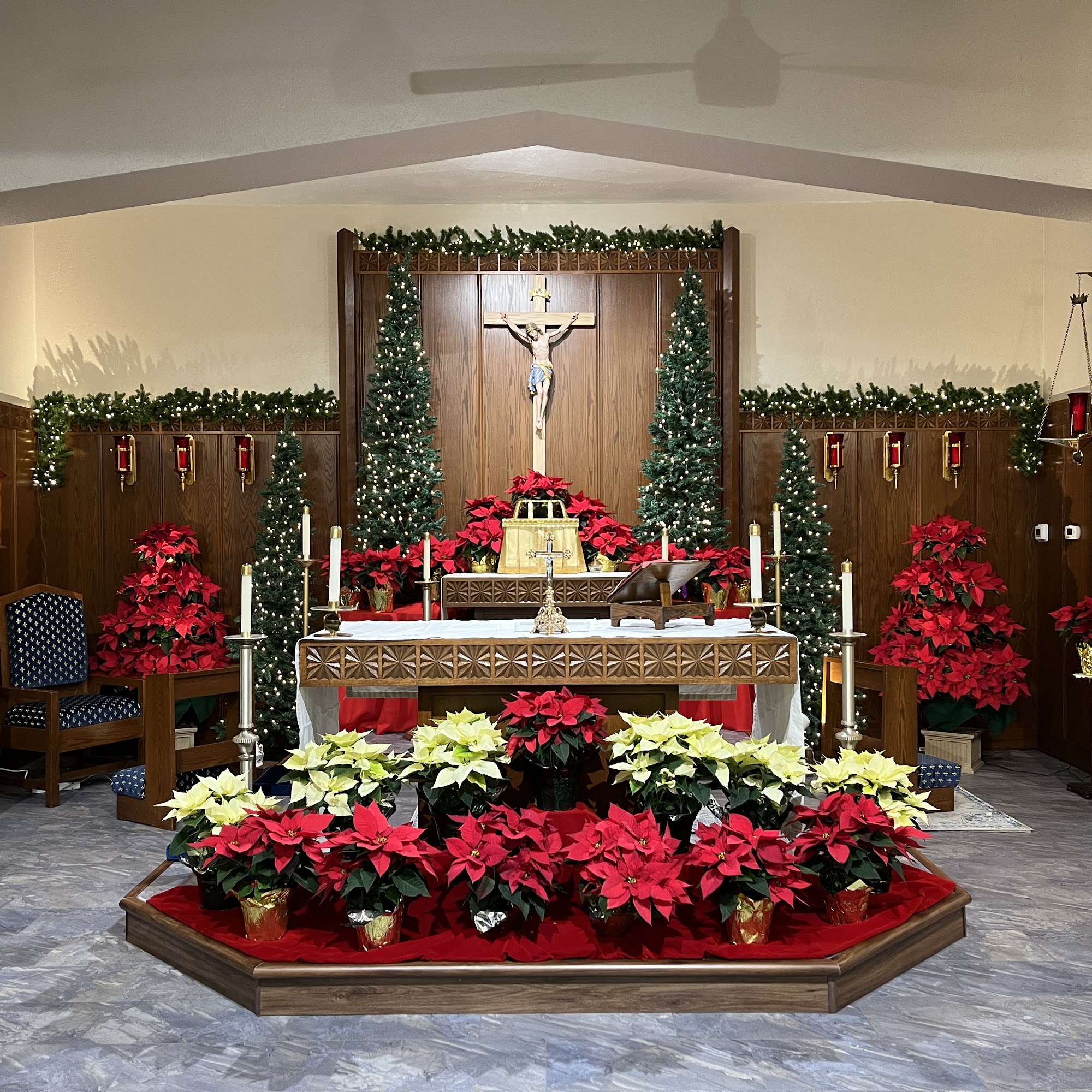 Assumption-Blessed Virgin Mary Northampton