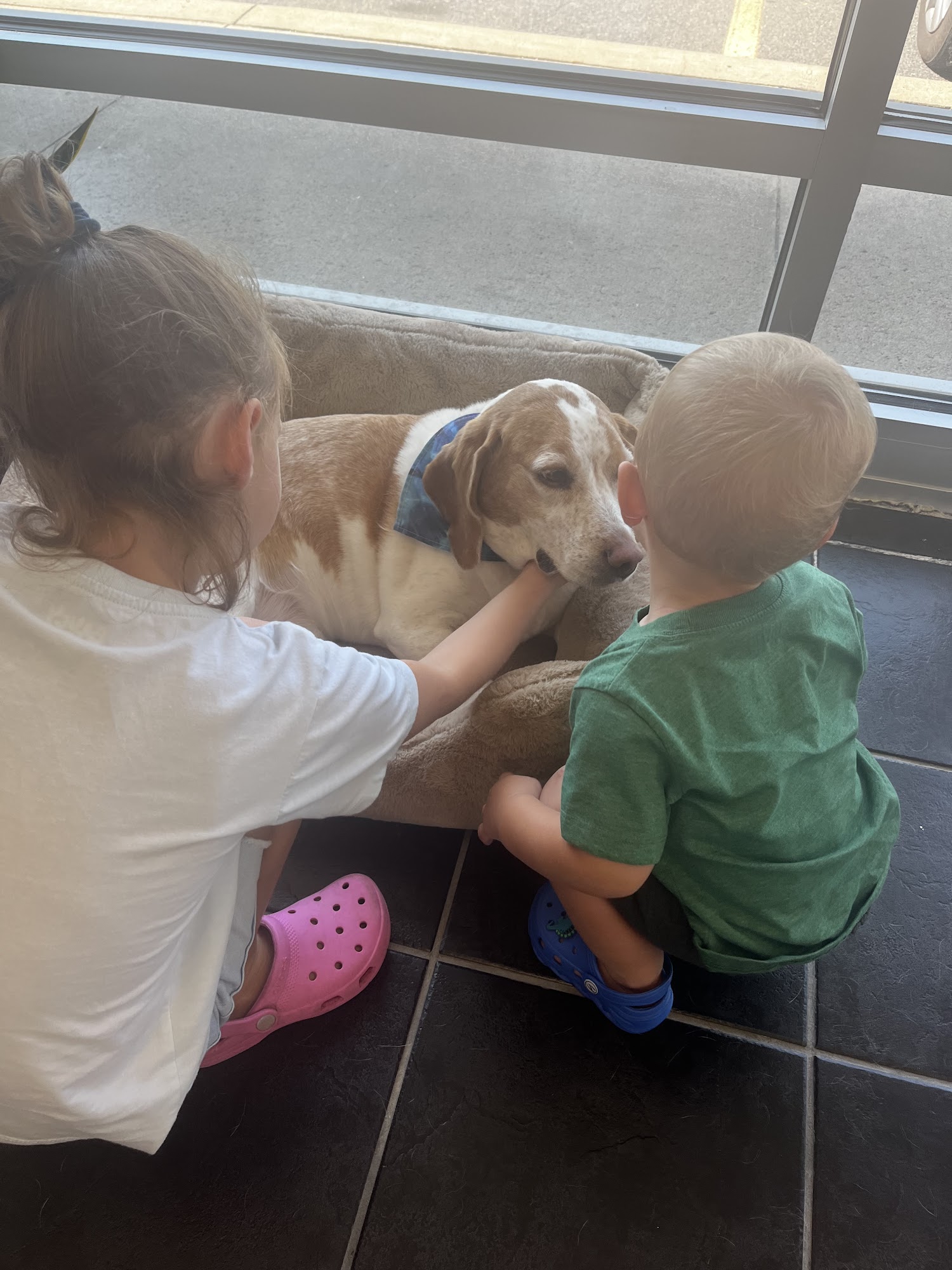 Movement Chiropractic & Massage