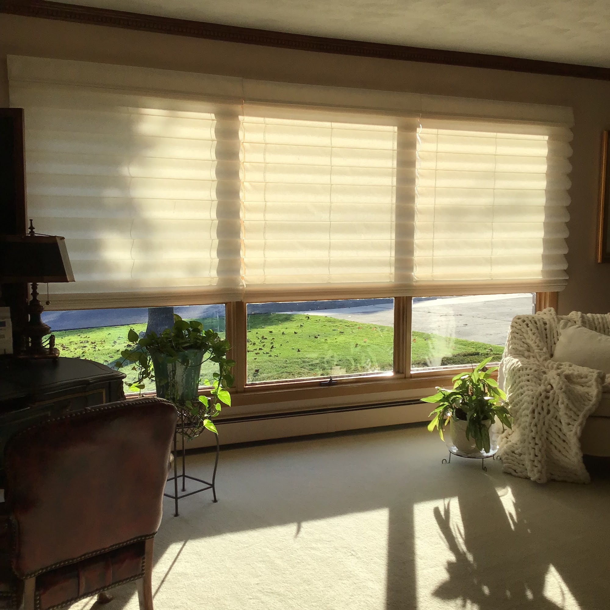 Special Touch Window Treatment Olyphant