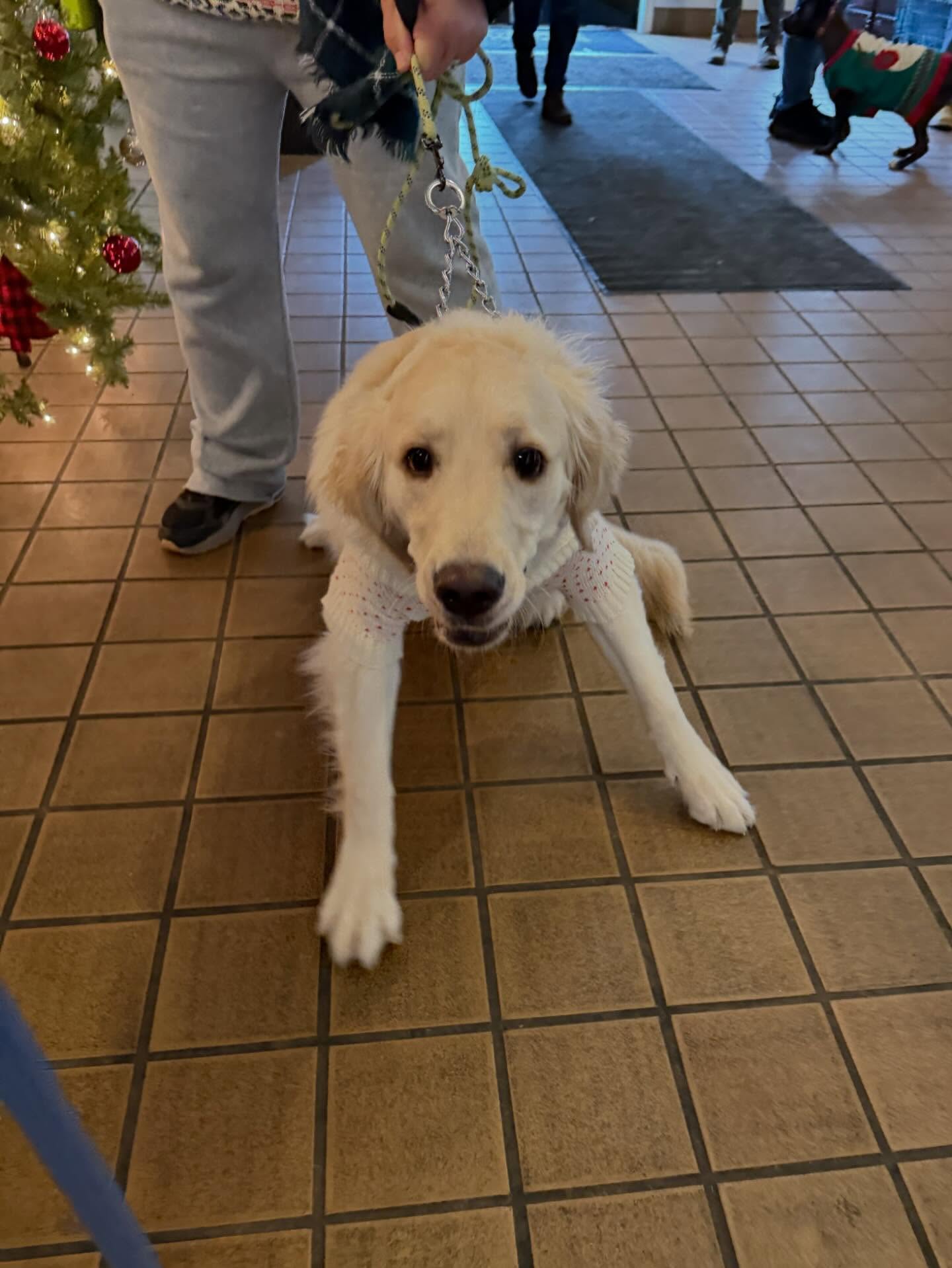 Retriever Brewing Company Orefield