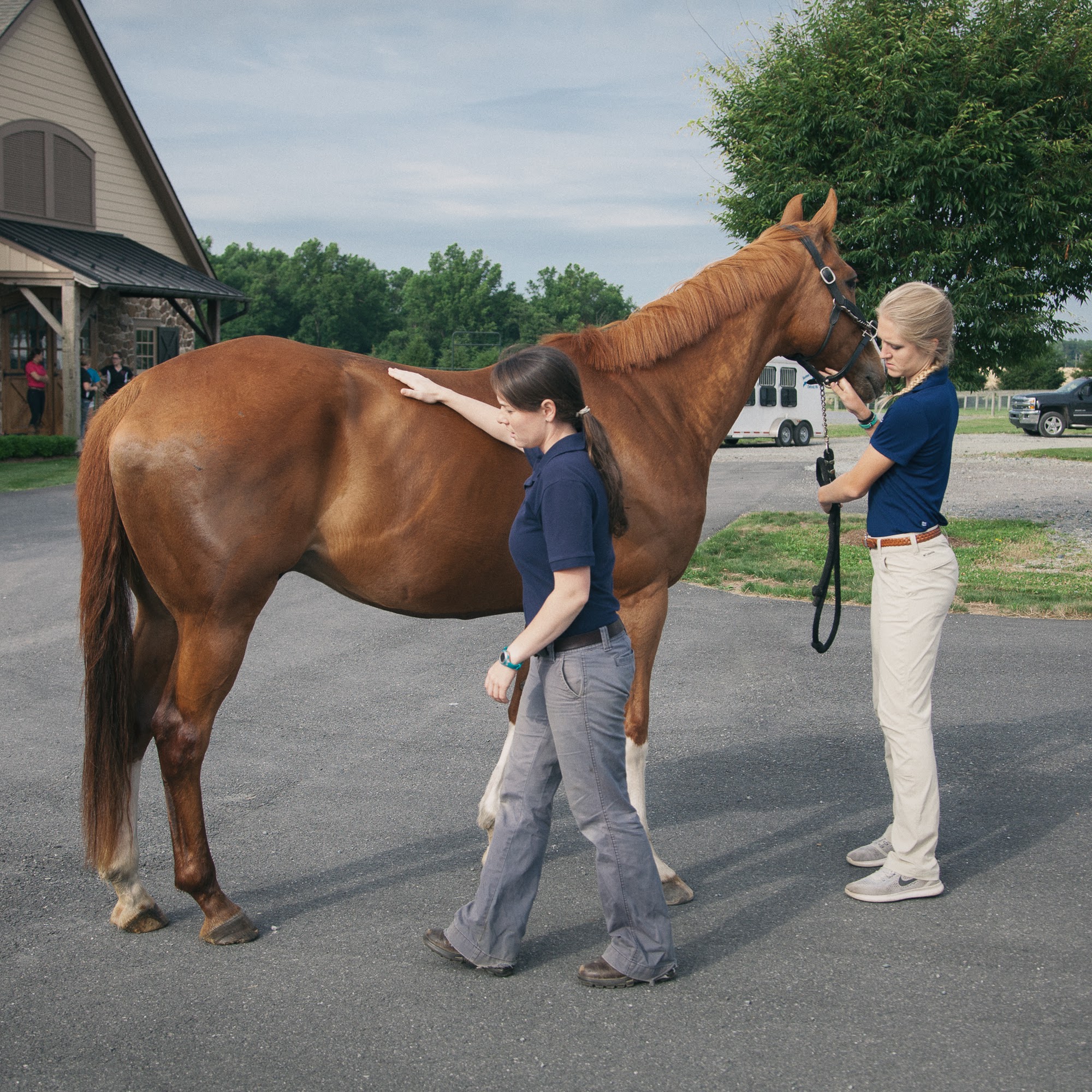 Unionville Equine Associates PC Oxford