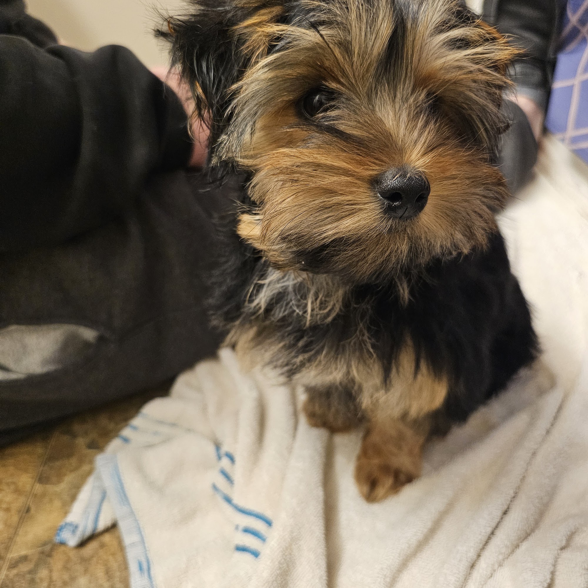 Elk Creek Veterinary Services, LLC Oxford