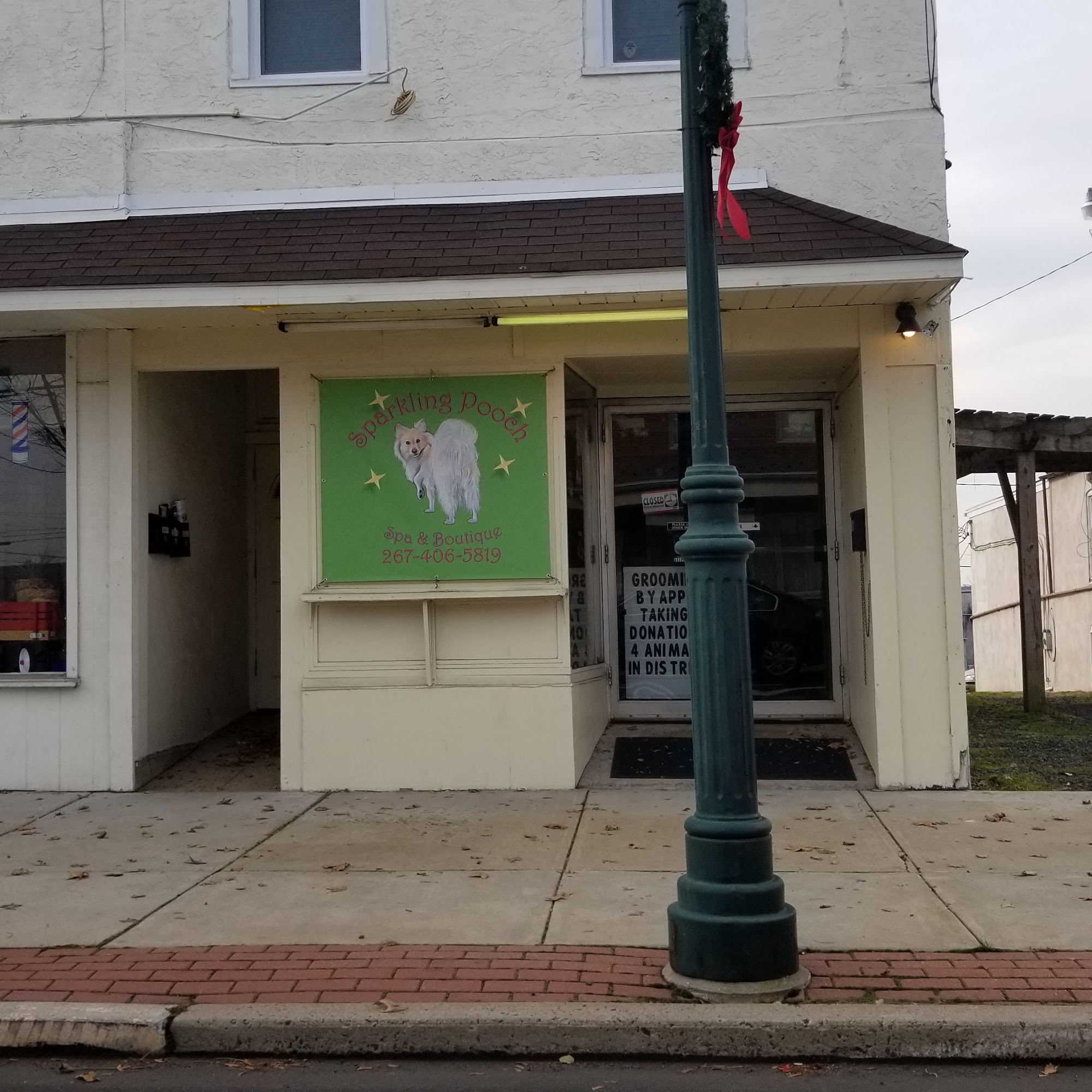 Sparkling Pooch Pennsburg