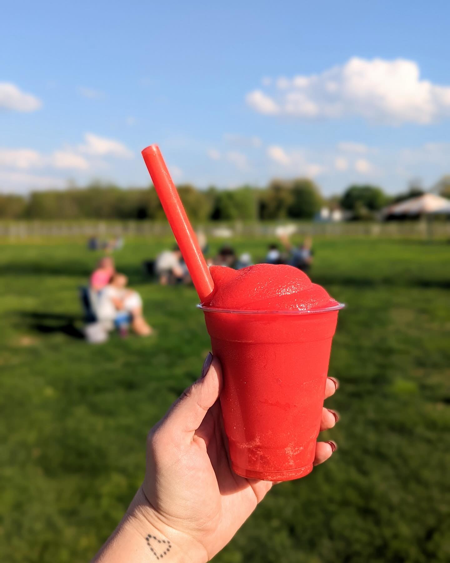 Bishop Estate Vineyard and Winery Perkasie