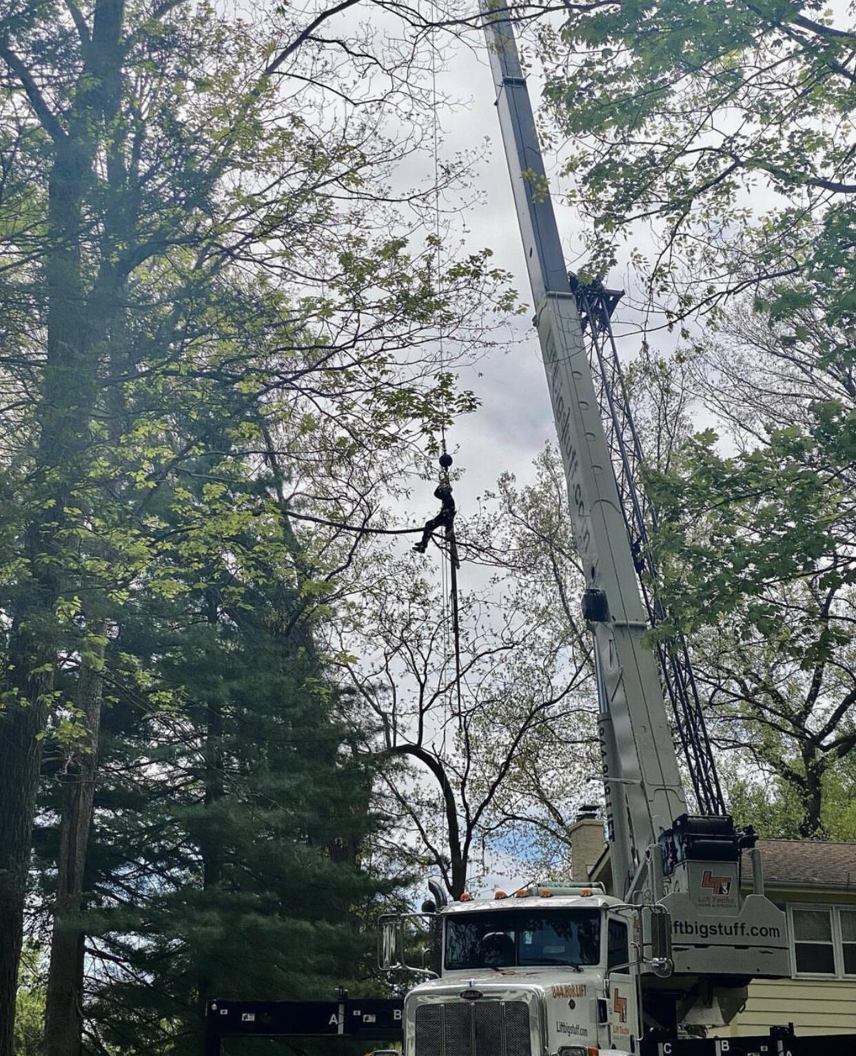Photo credit: nextdoor