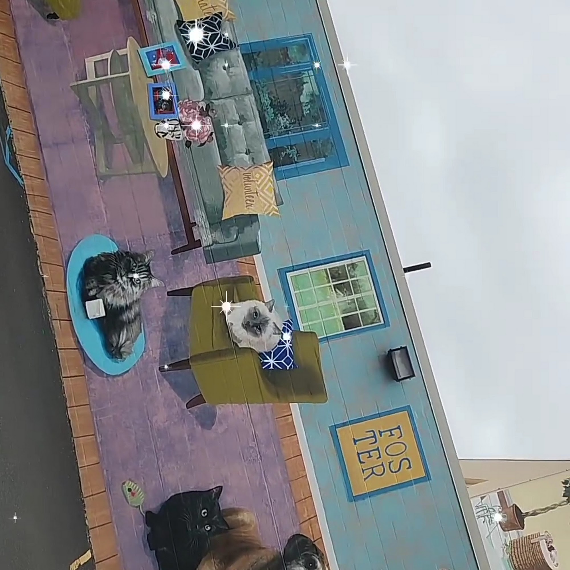 PAWS Northeast Adoption Center & Spay/Neuter and Wellness Clinic Philadelphia