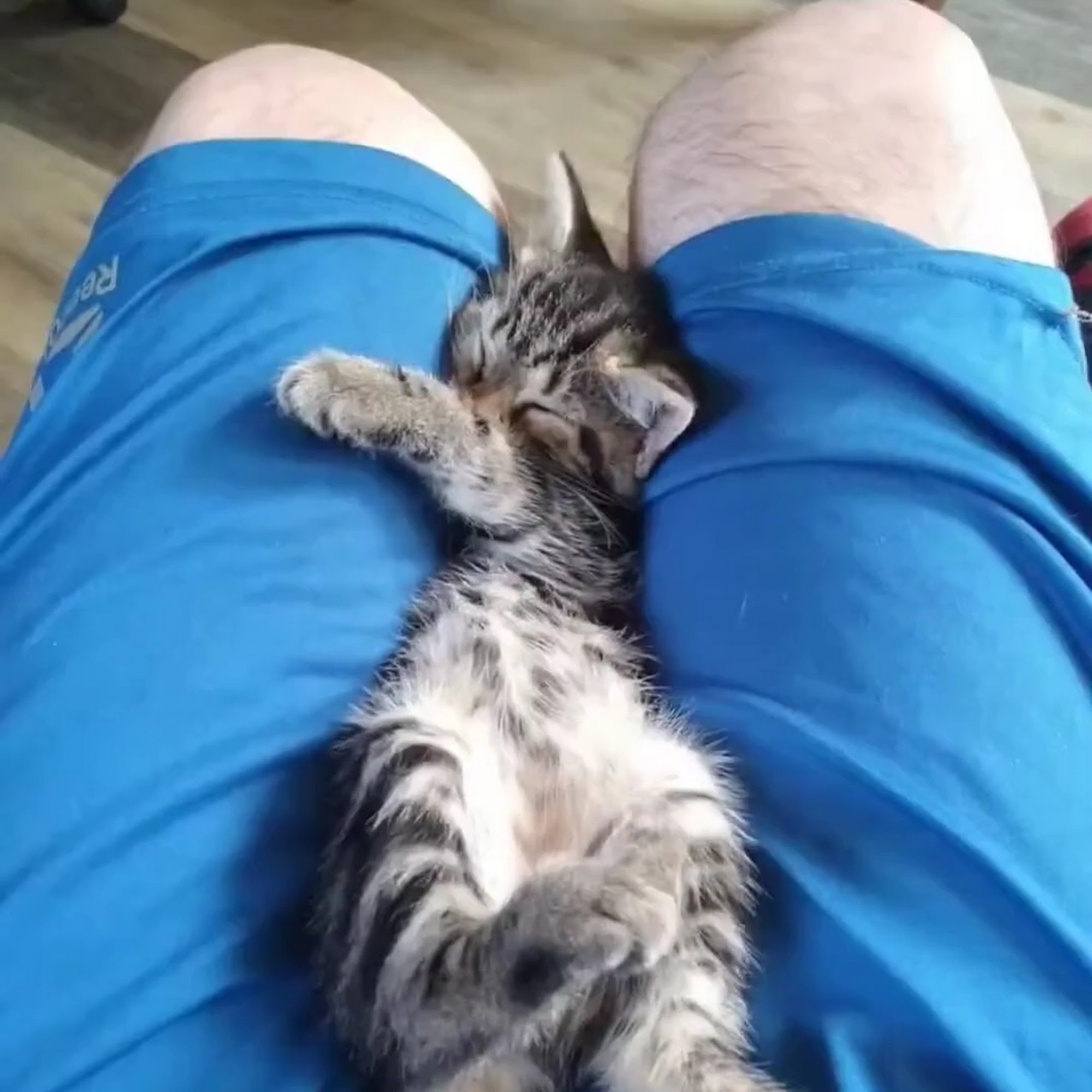 One Love Veterinary Clinic @ Chelwayne Philadelphia