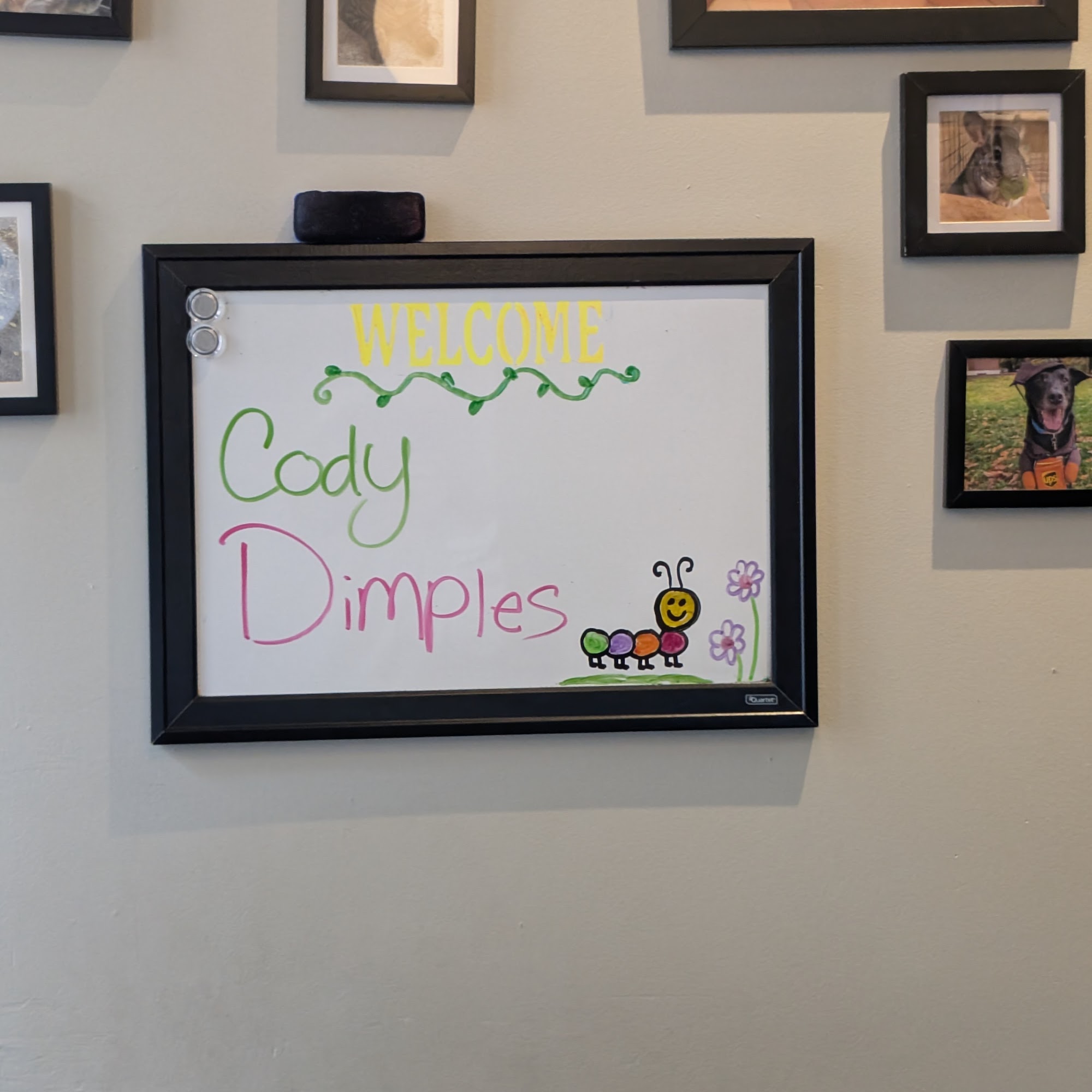 Center City Veterinary Hospital Philadelphia