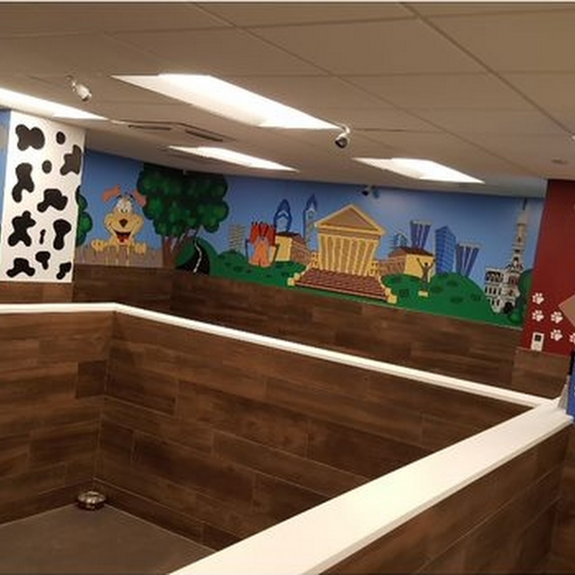 Doggie V.I.P. PHILLY Philadelphia