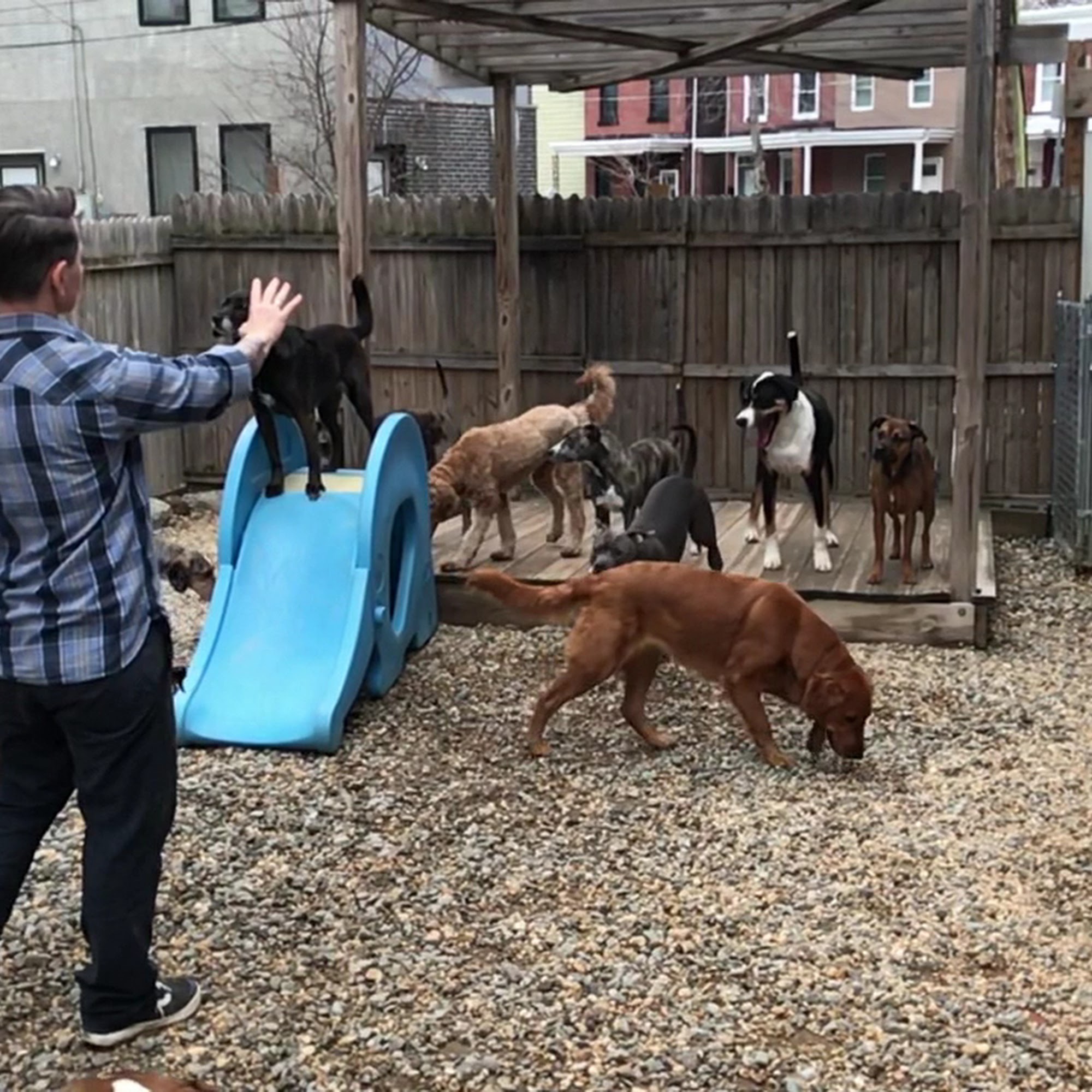 The Groove Hound Philadelphia