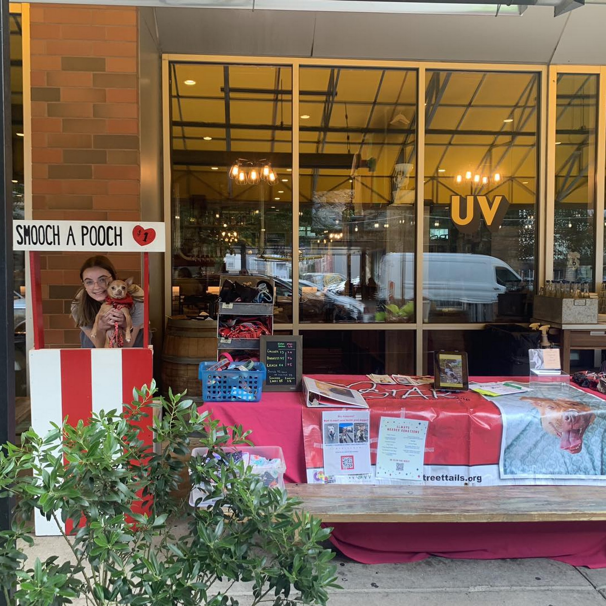 Street Tails Animal Rescue Philadelphia