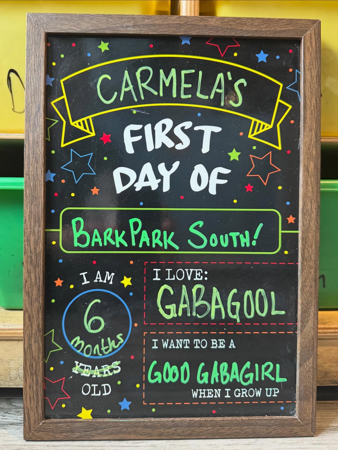 BarkPark West Philadelphia