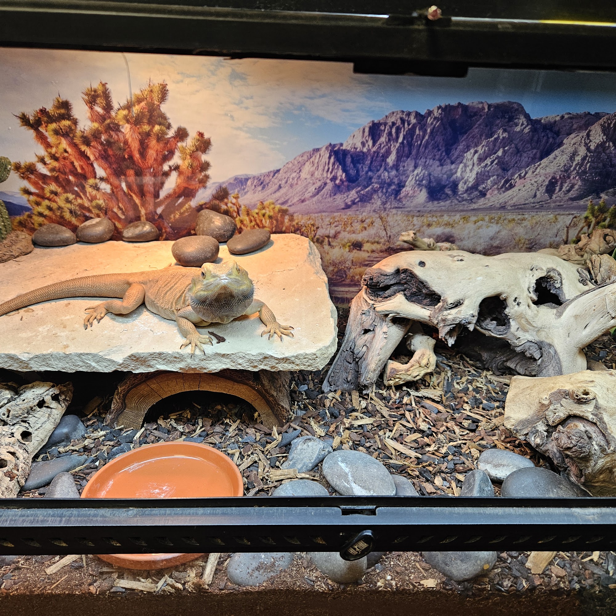 Jay's Exotic Reptiles & Plants Philadelphia