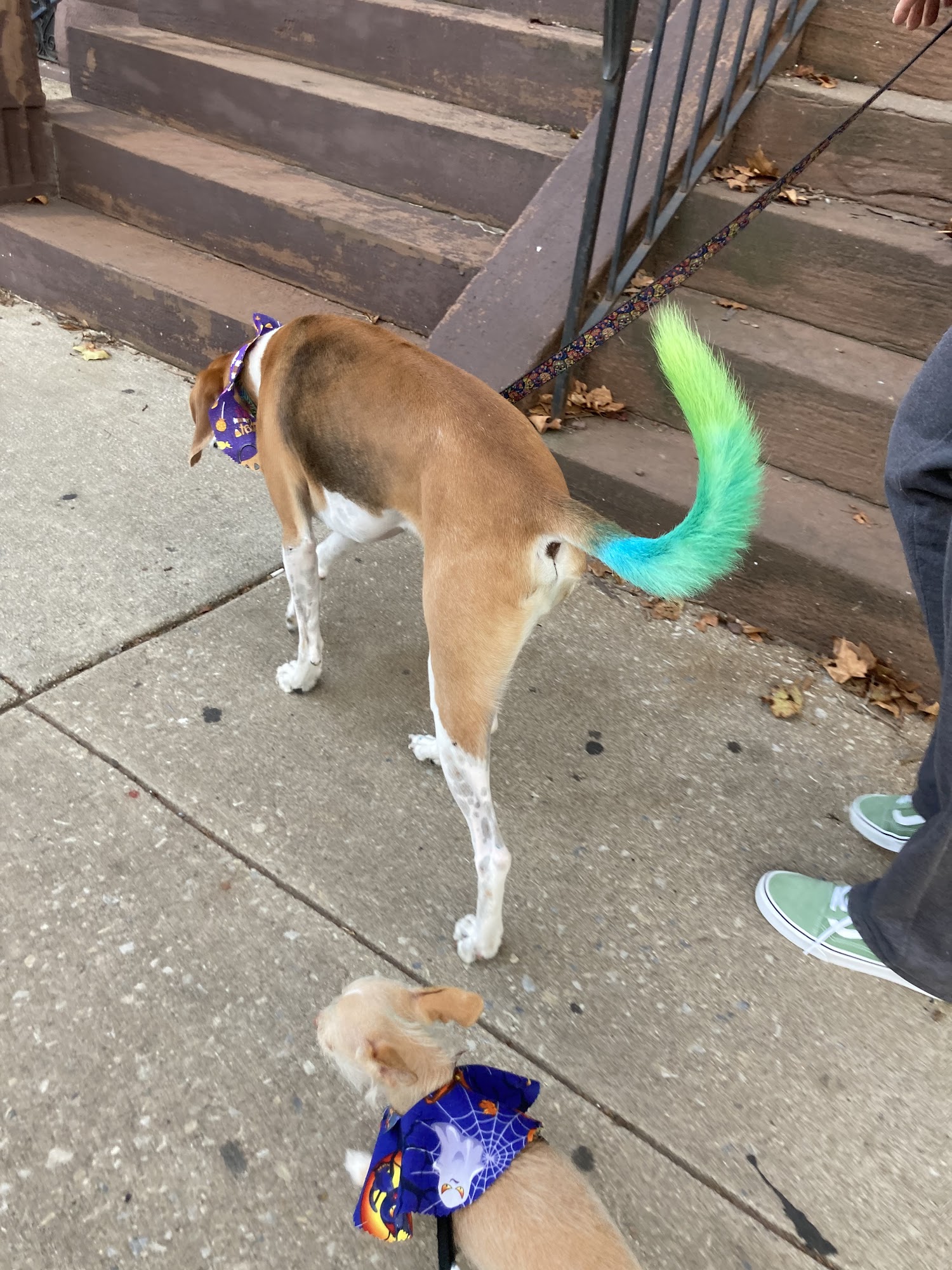 Sally's Paw Spaw Philadelphia