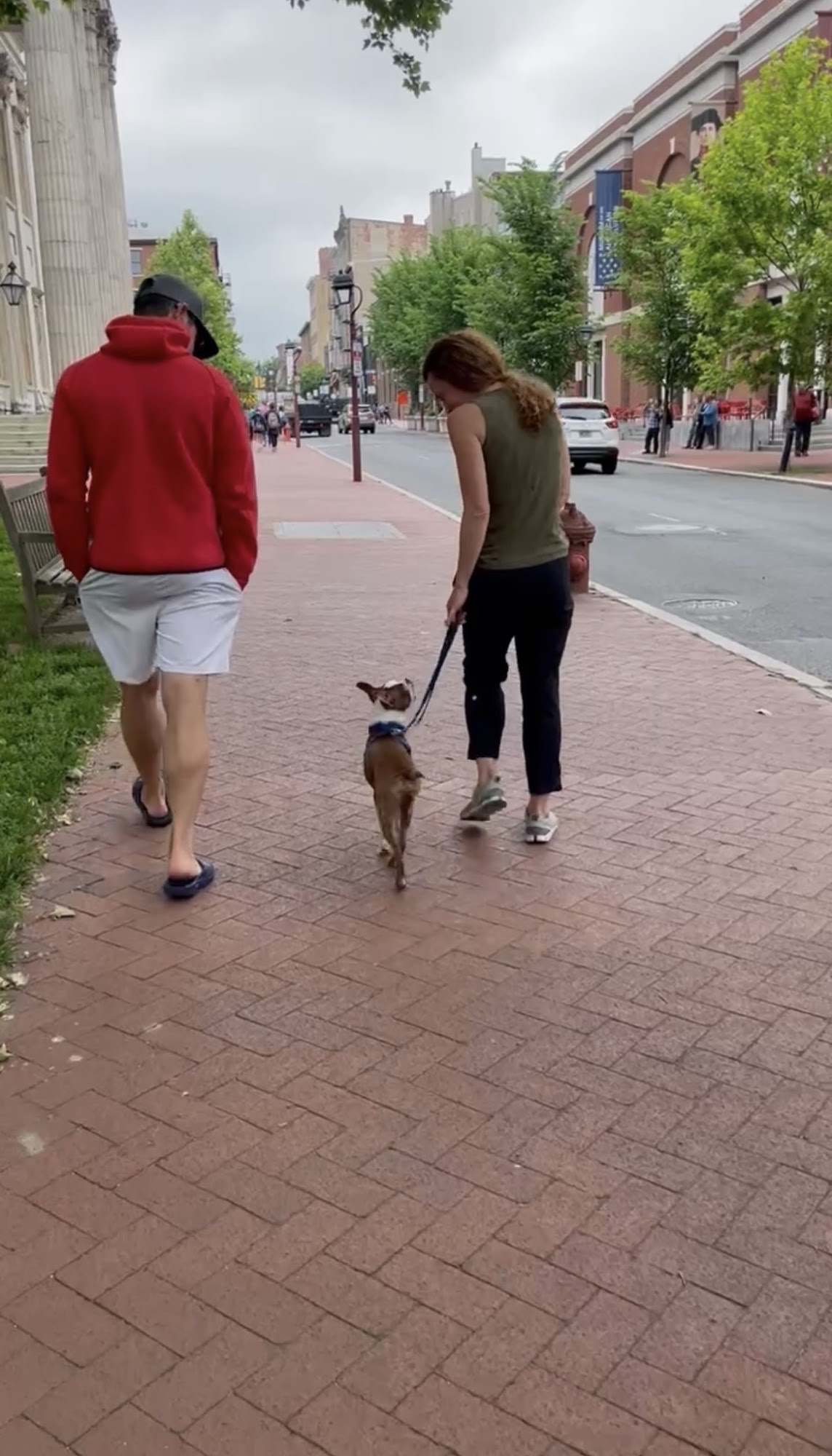 Opportunity Barks Behavior & Training Philadelphia