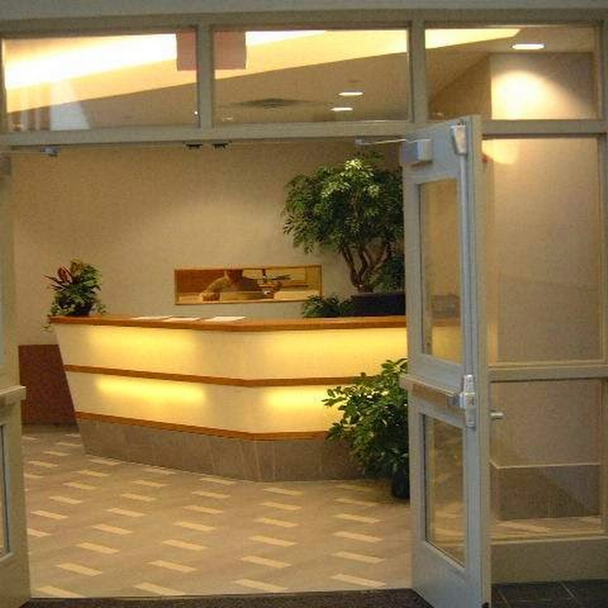 Alternative Officing Planning Services (AOPLAN)