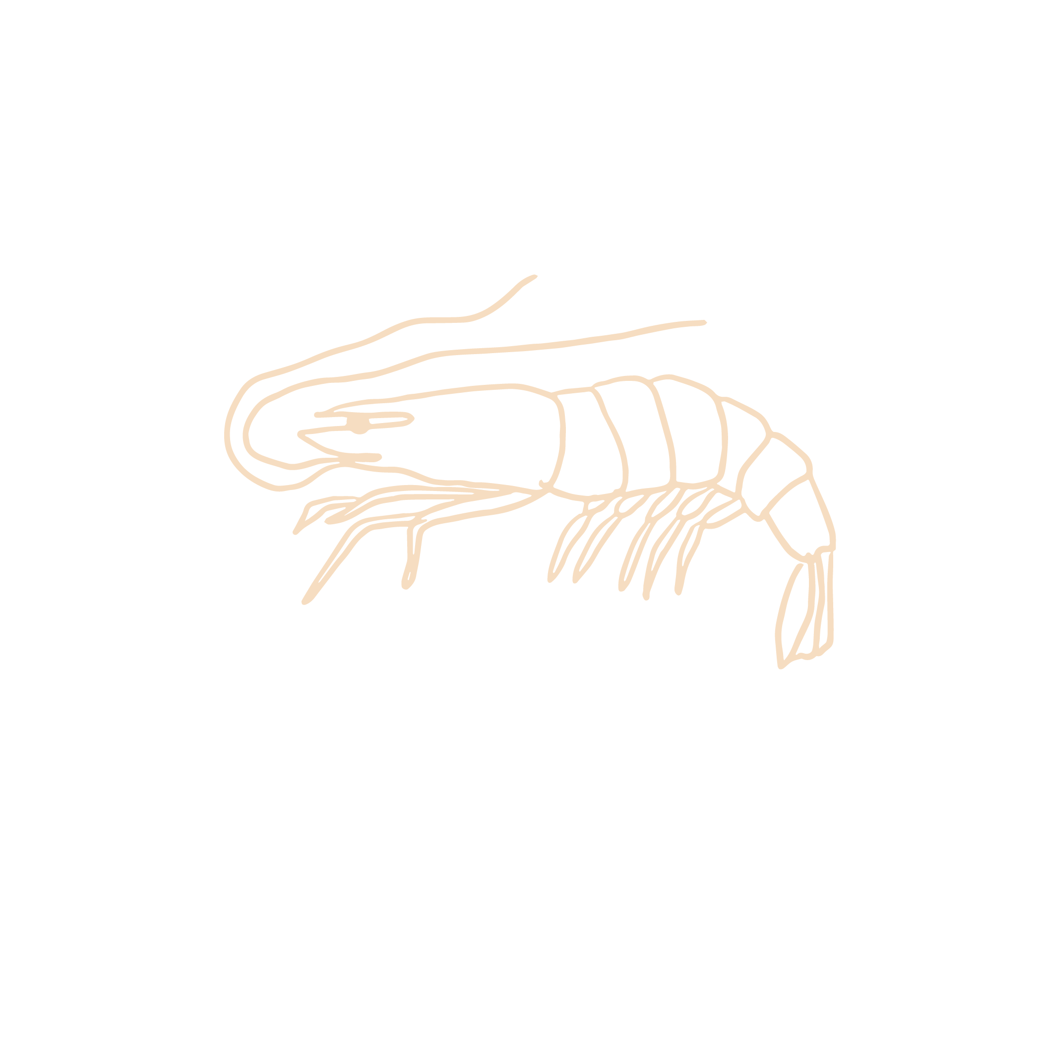 Little Water Menu