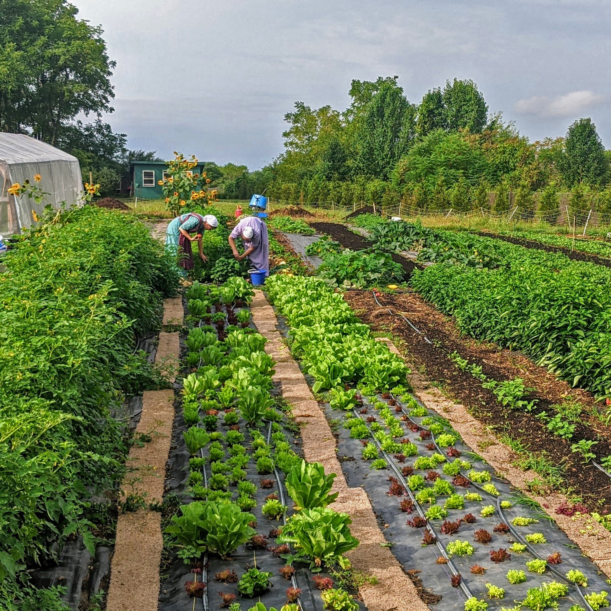 Sowers Market Philipsburg