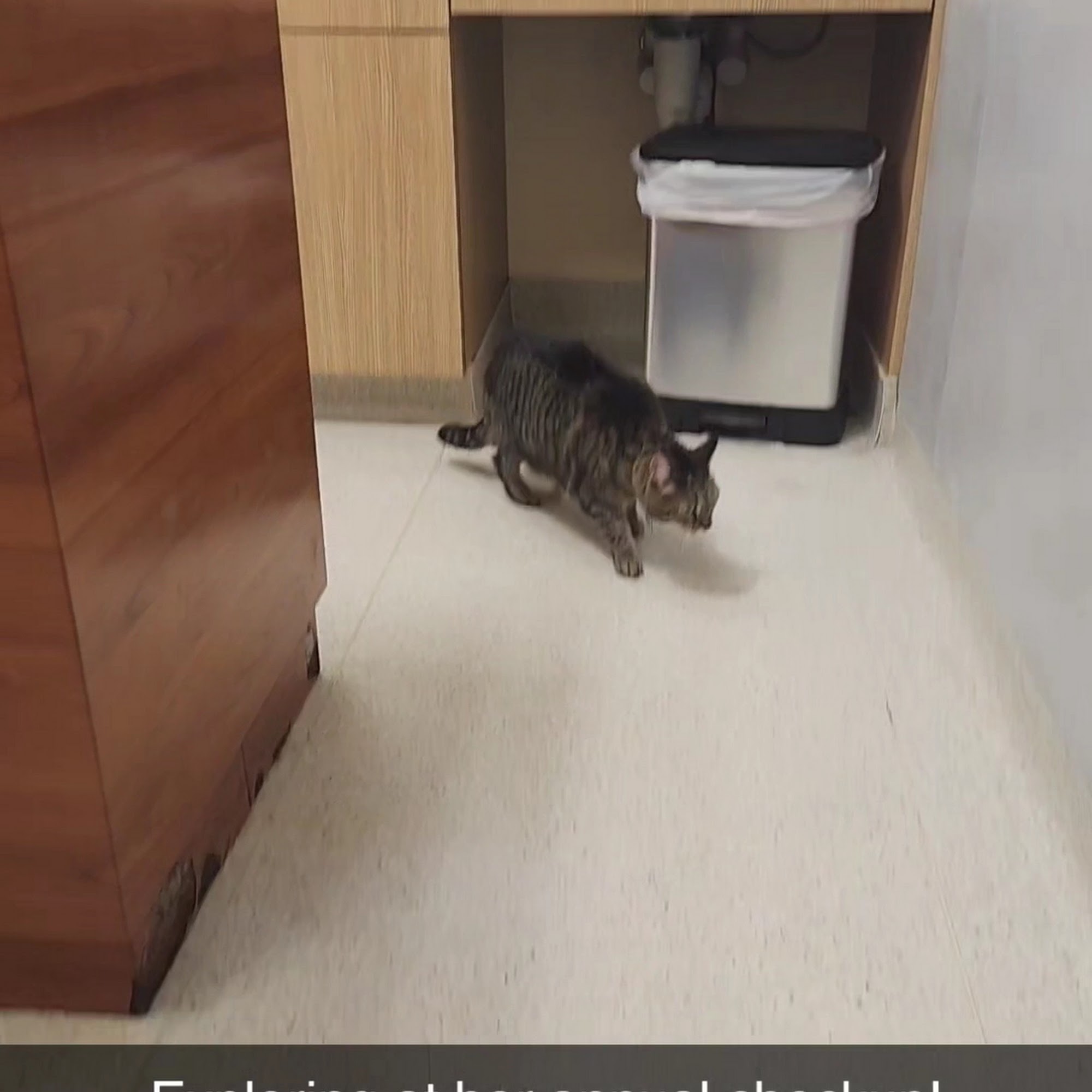 Valley Veterinary Hospital Phoenixville