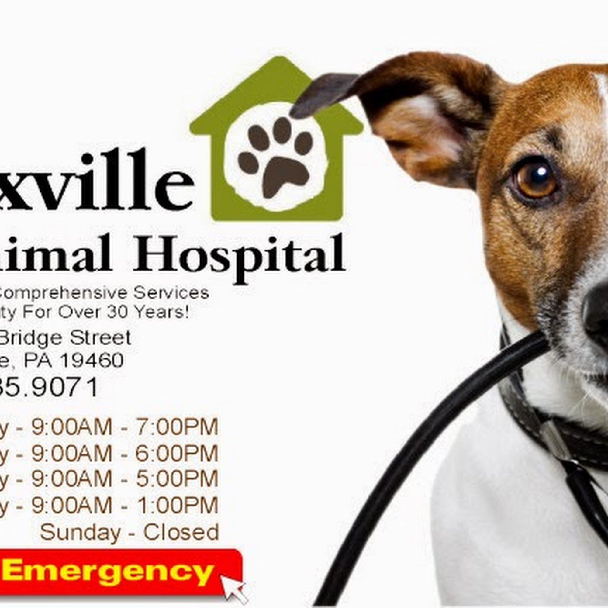 Phoenixville Animal Hospital Phoenixville