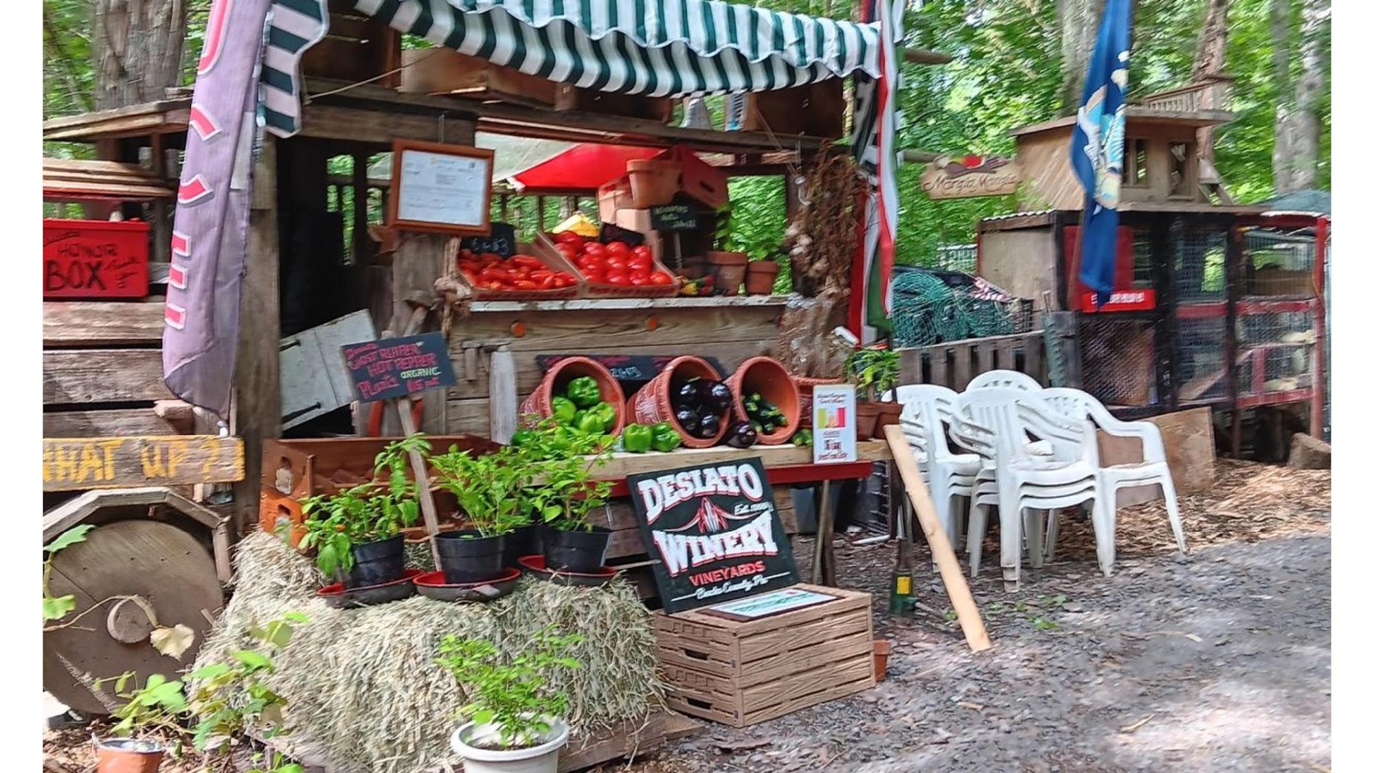 Desiato Winery in the Woods Pipersville