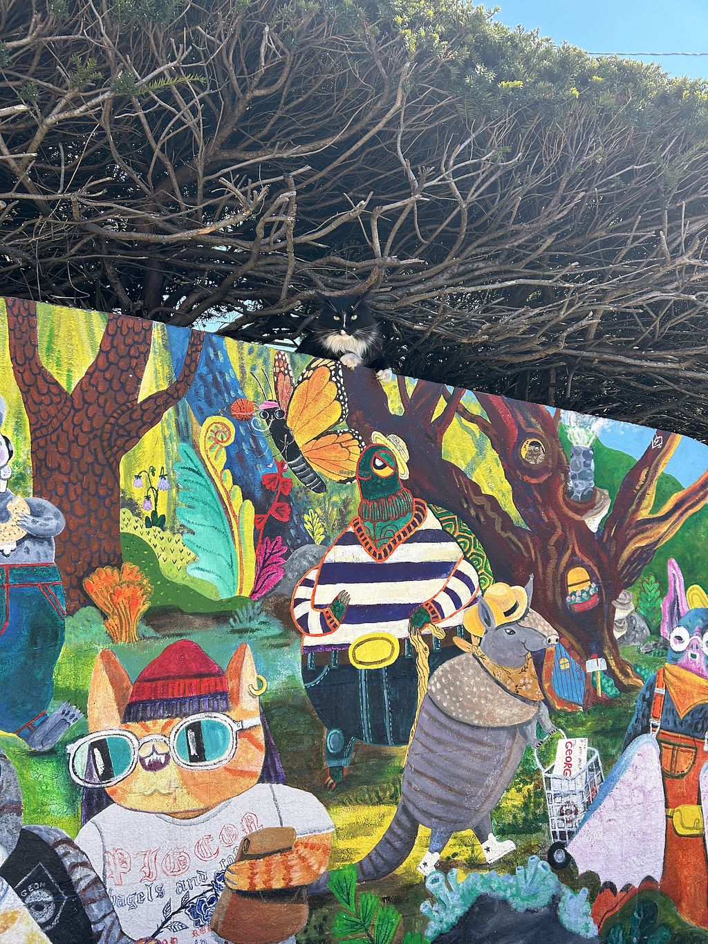 Photo credit: happycow