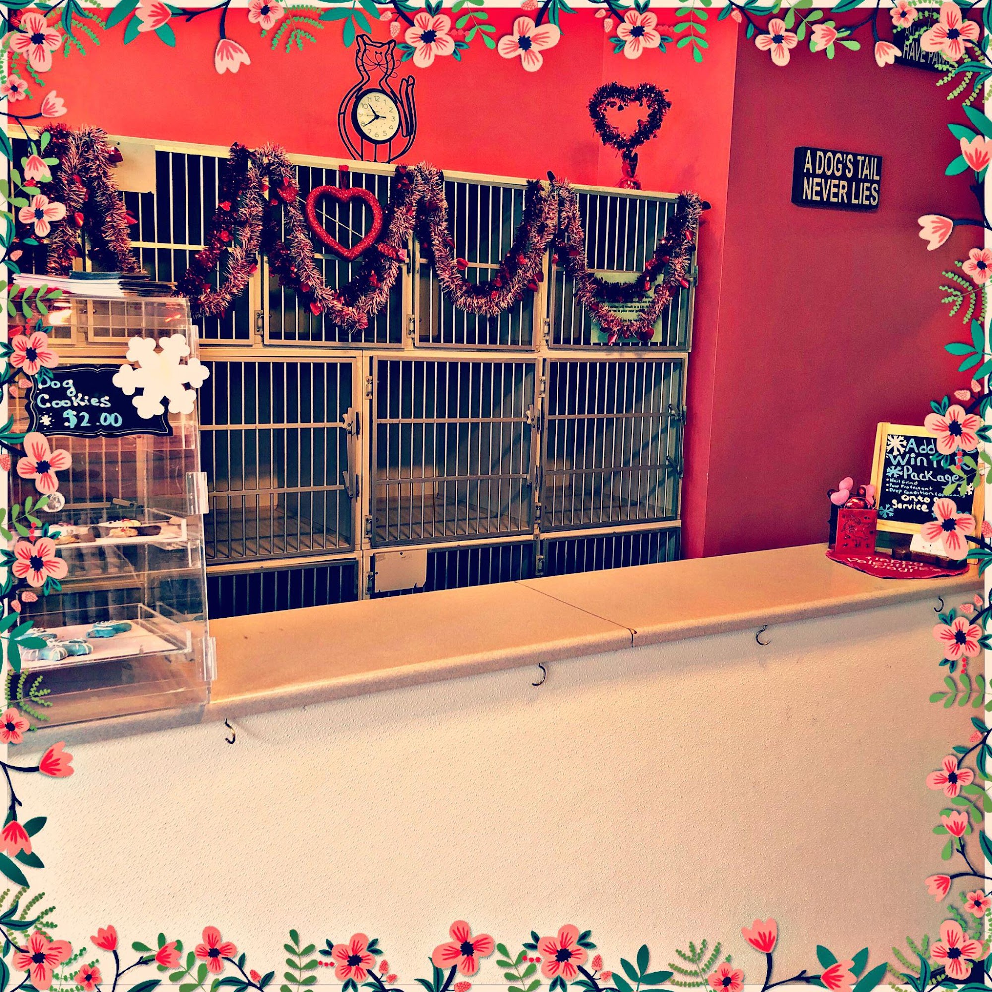 Animal Elegance Pittsburgh