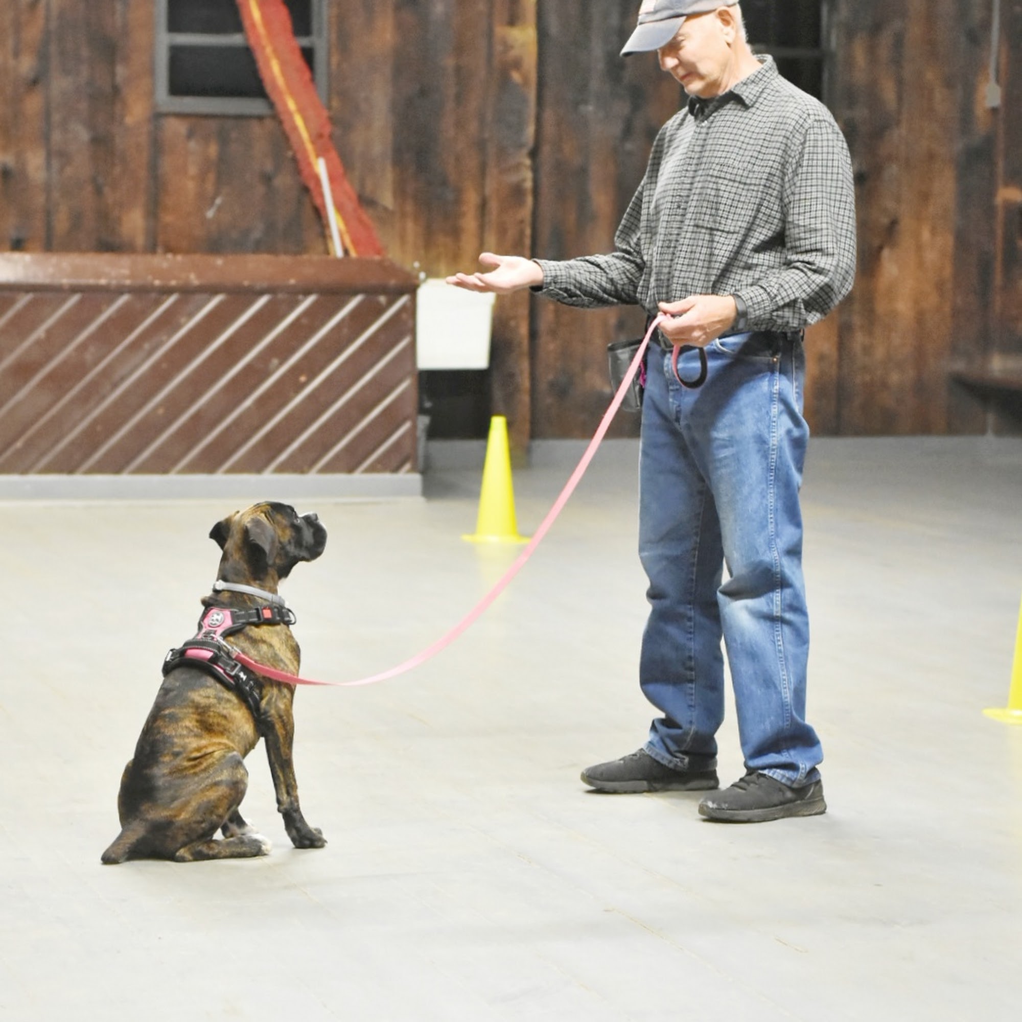 Two Dads Dog Training Pittsburgh