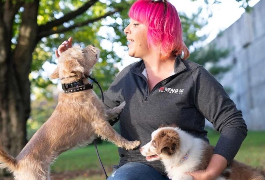 Sit Means Sit Pittsburgh Pittsburgh