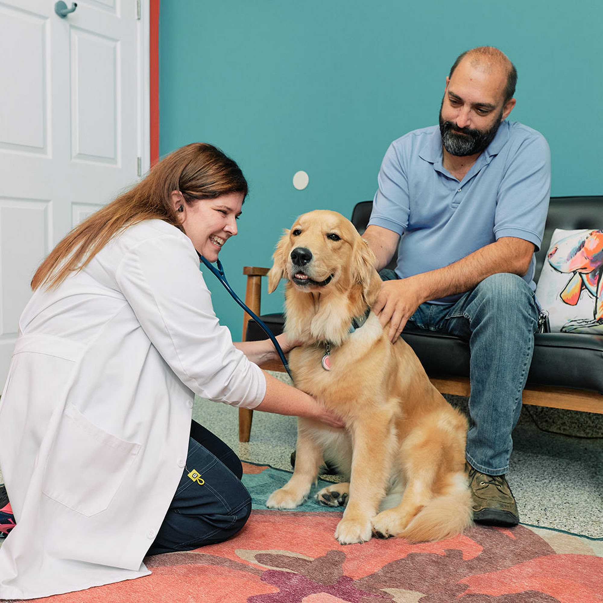 PetVet365 Pet Hospital Pittsburgh/Wilkins Township Pittsburgh
