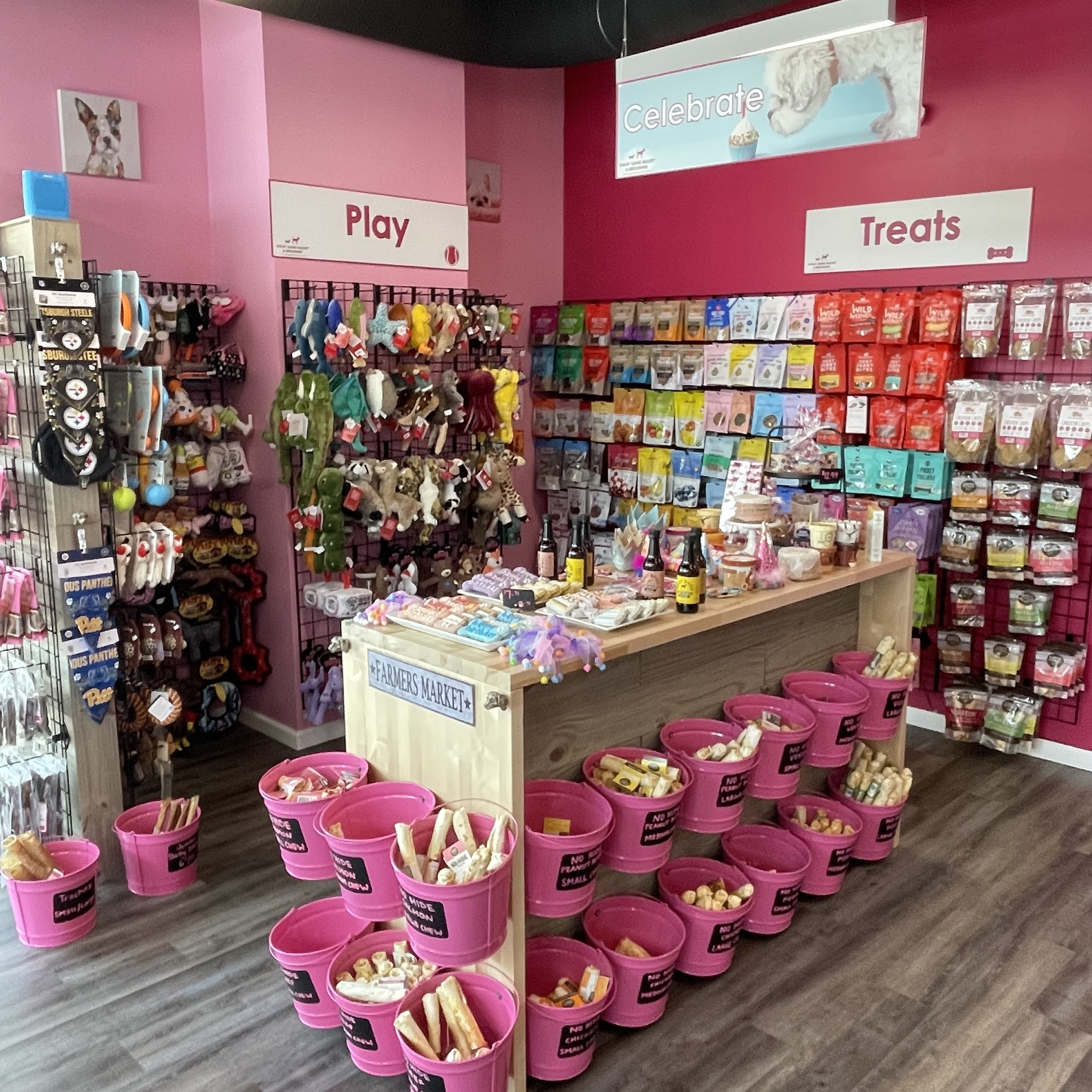 Woof Gang Bakery & Grooming East Liberty Pittsburgh