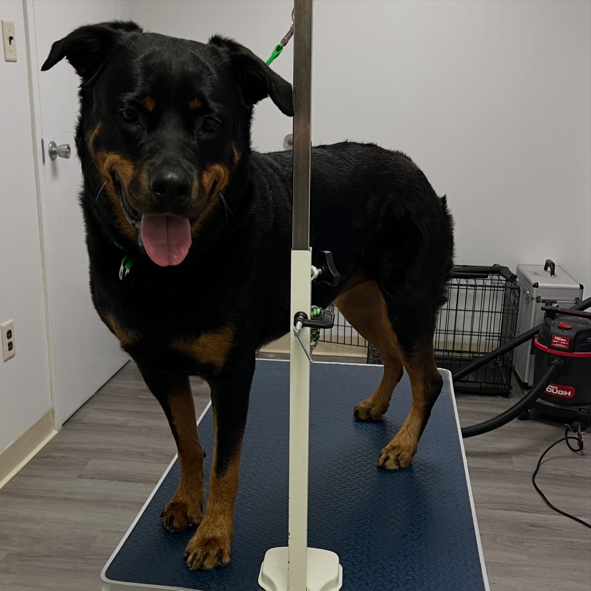 Keeta’s Pet Salon Pittsburgh