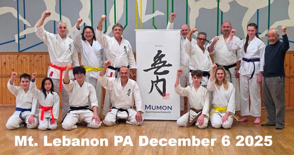 Mumon Karate