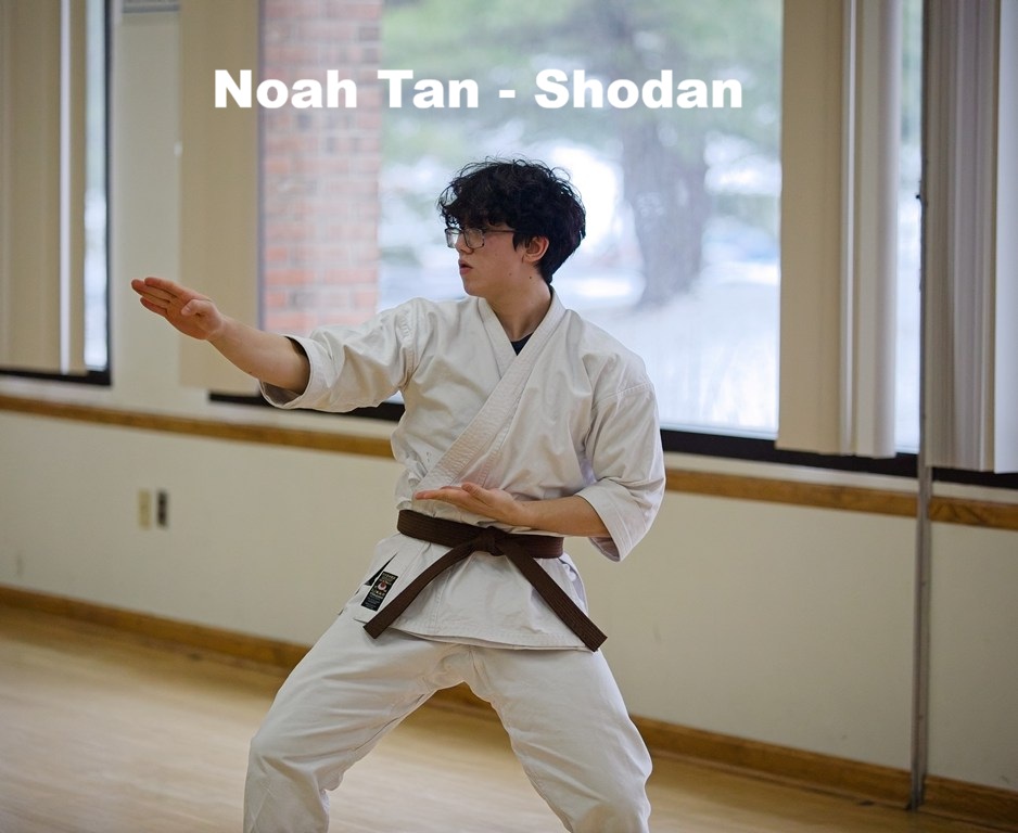 Mumon Karate