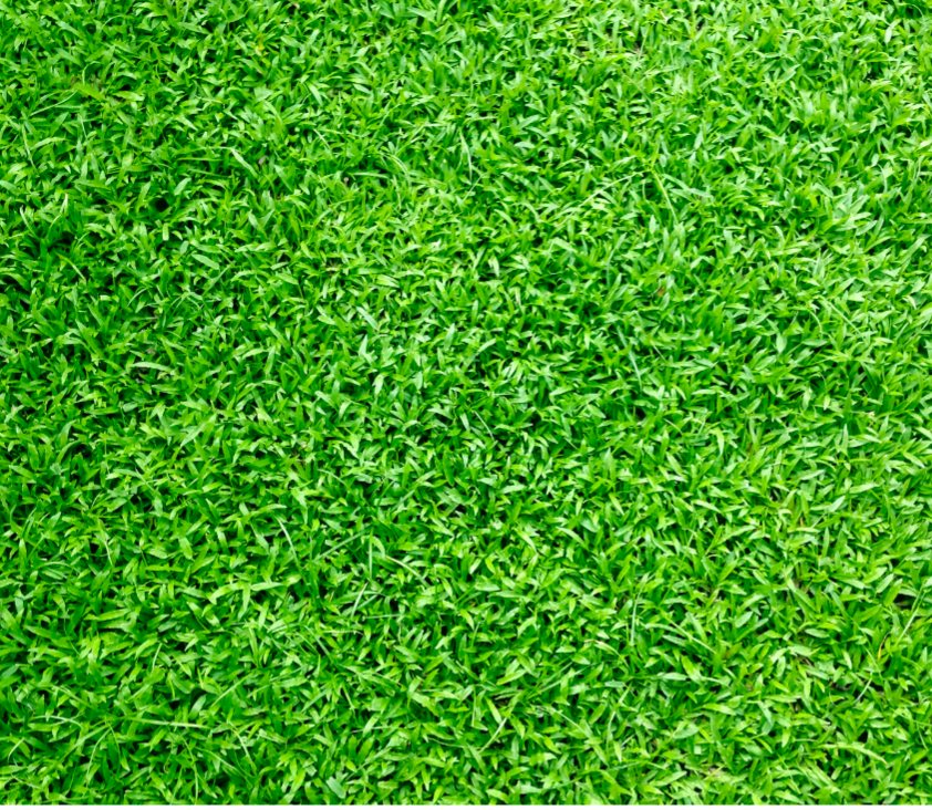 Always Green Lawn Care