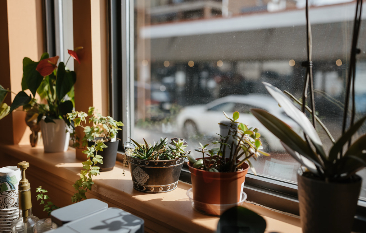 Rooted Hair Studio