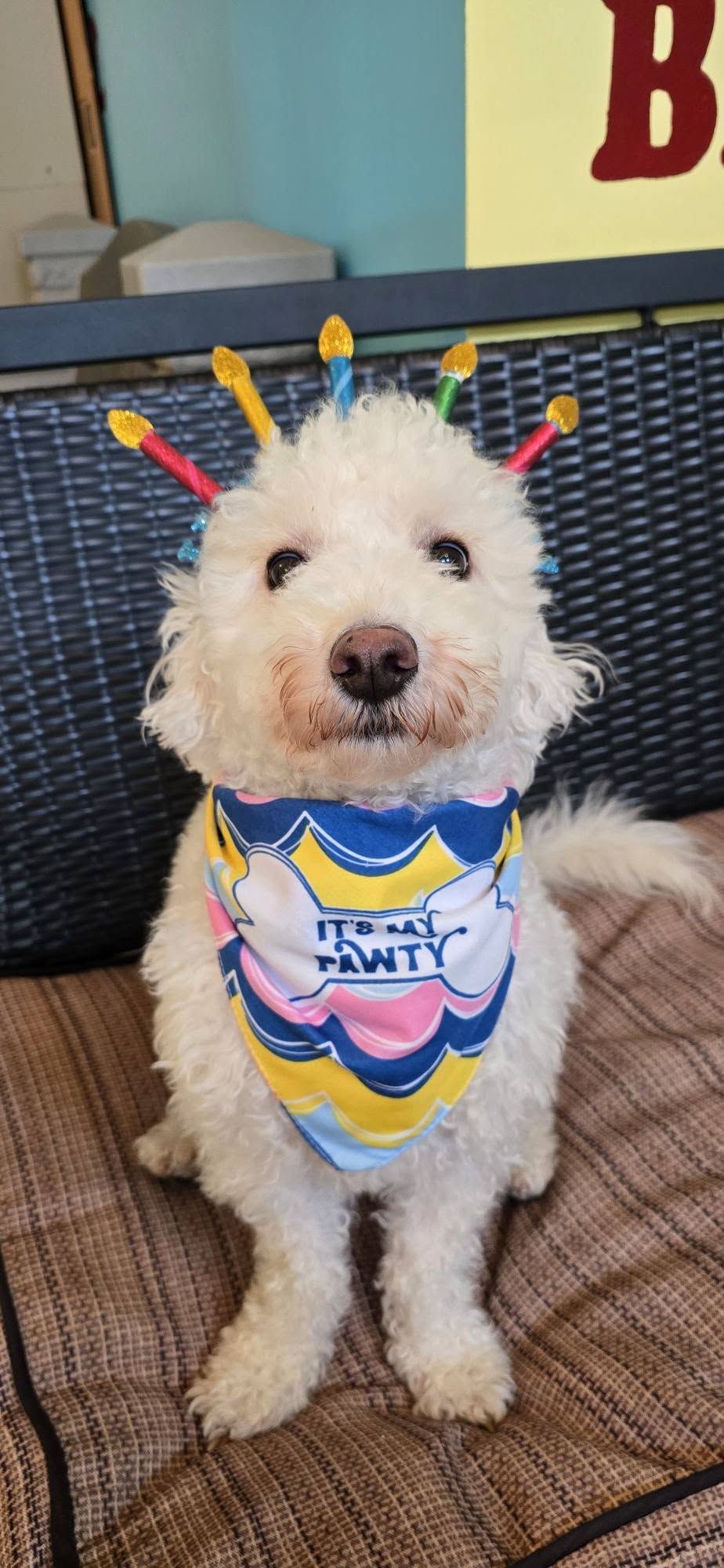 Noah's Pet Motel Pottstown