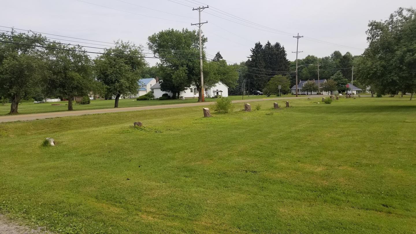 Porter Landscaping And Tree