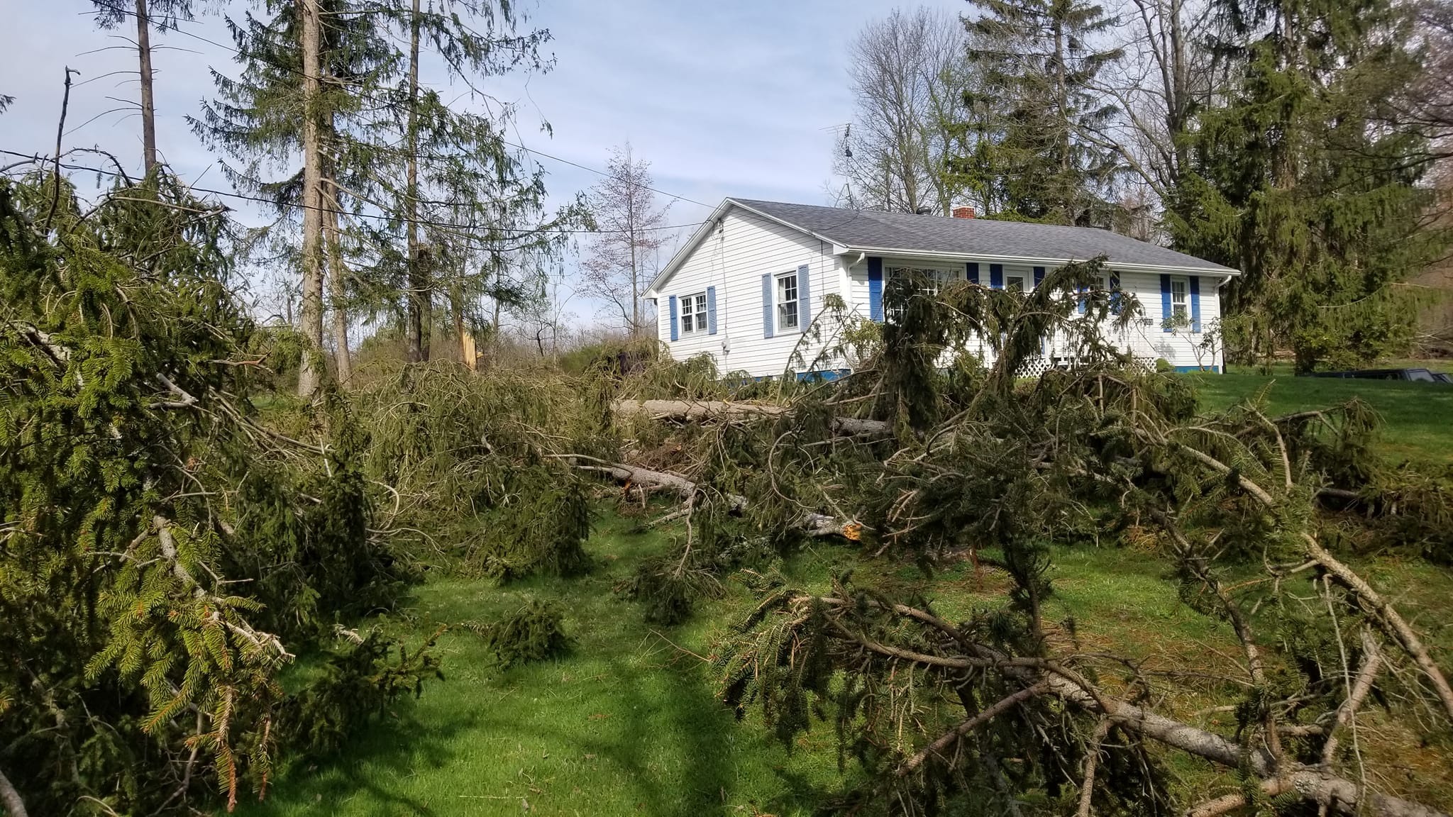 Porter Landscaping And Tree