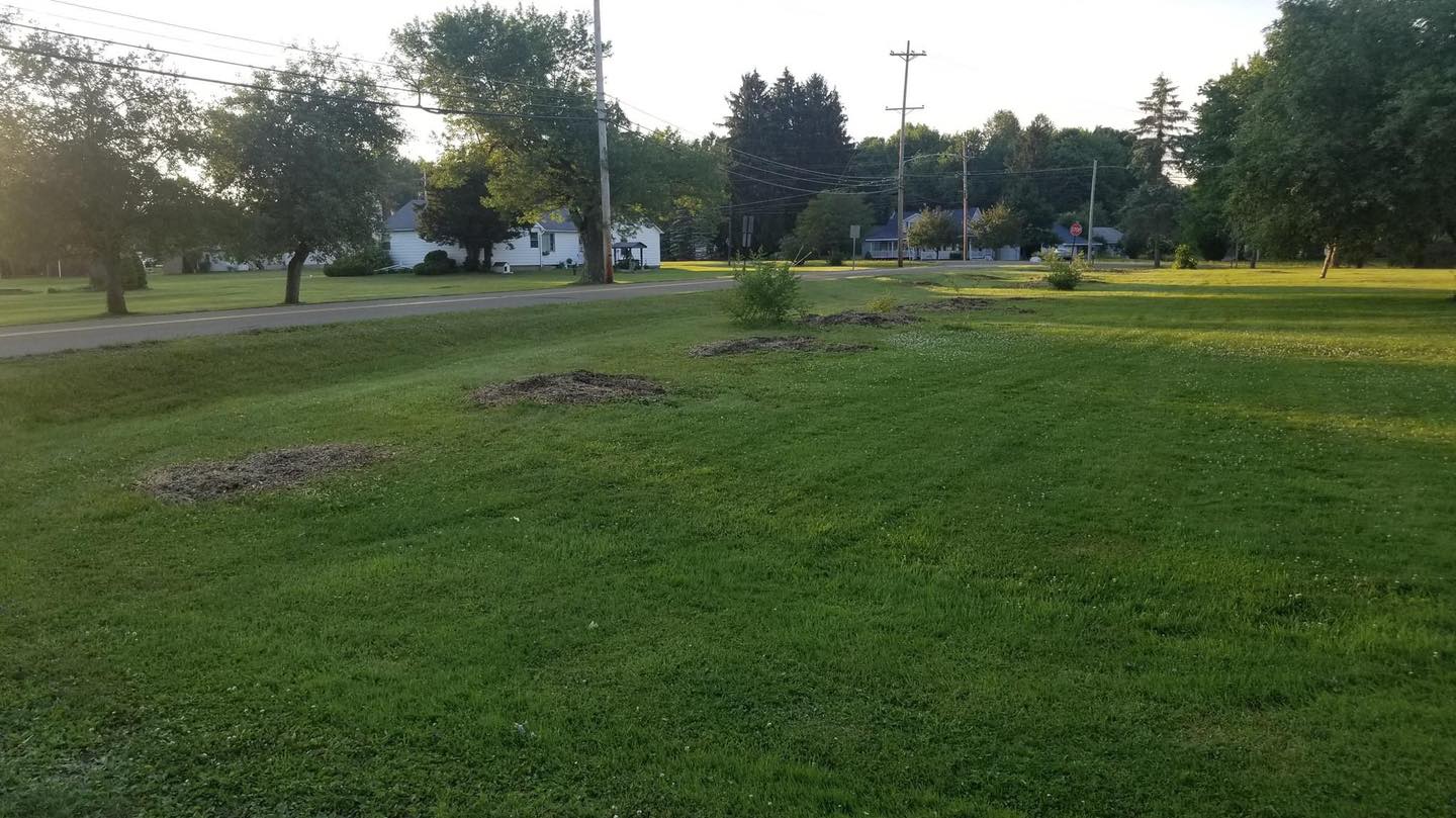 Porter Landscaping And Tree
