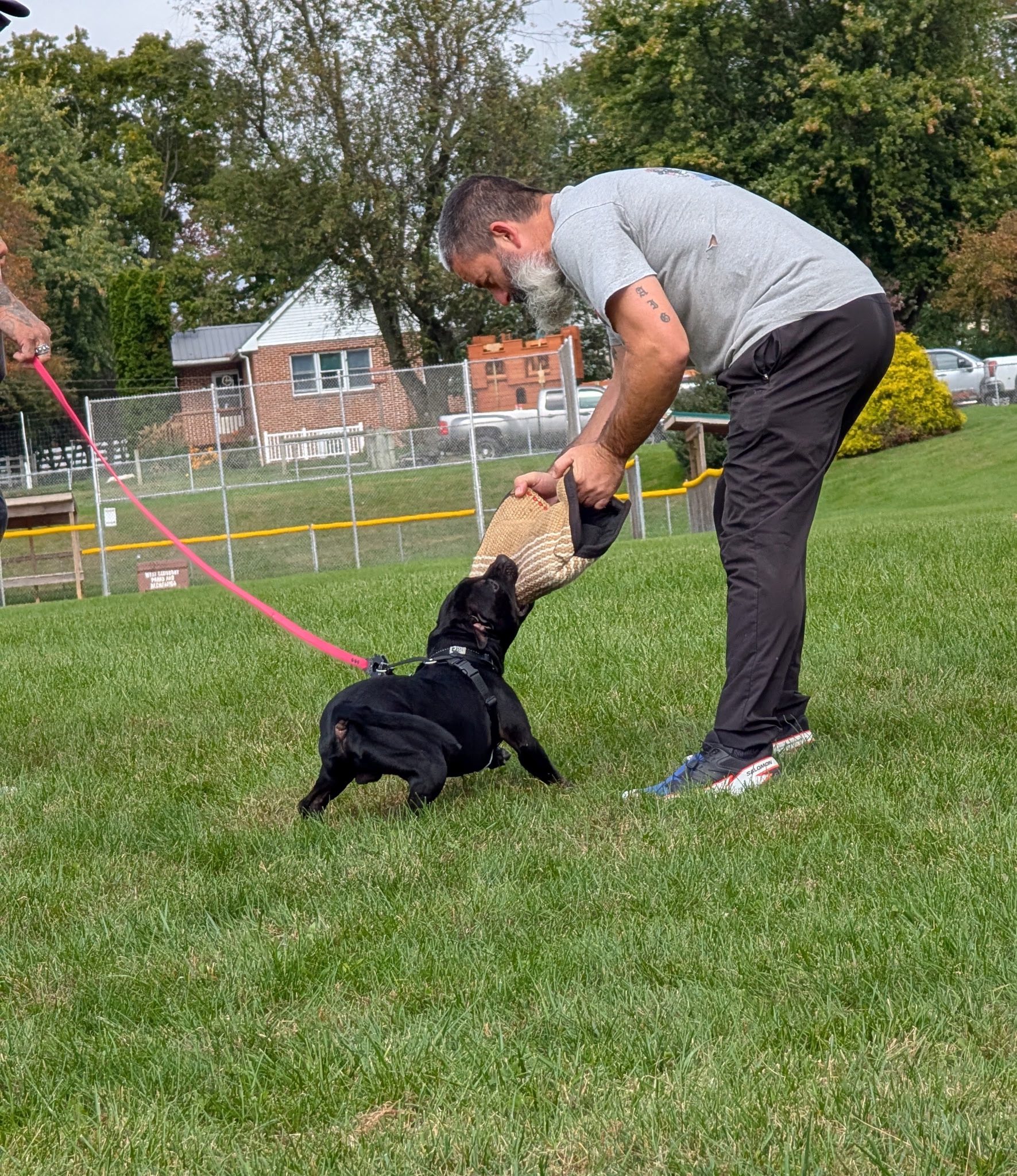 Keystone K9 Services Pottstown